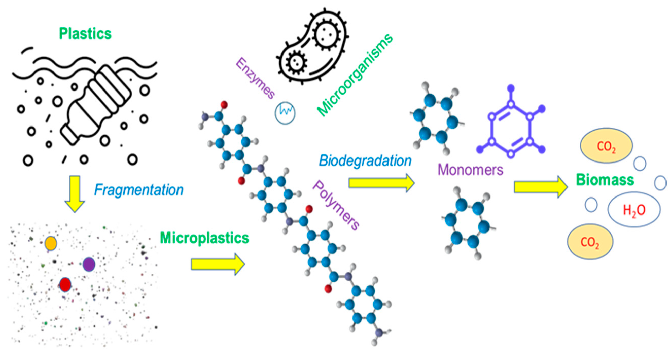 Catalysts 13 00294 g002