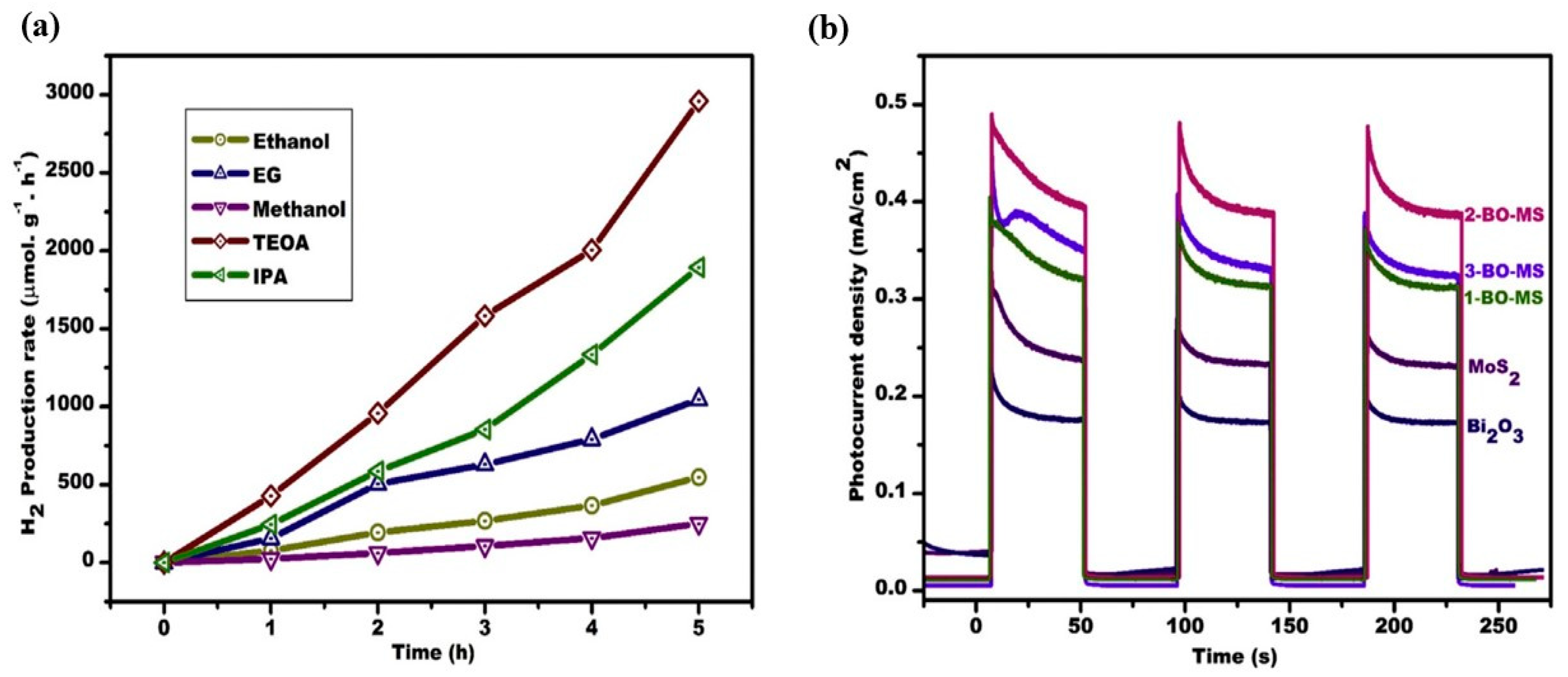 Catalysts 13 00295 g010