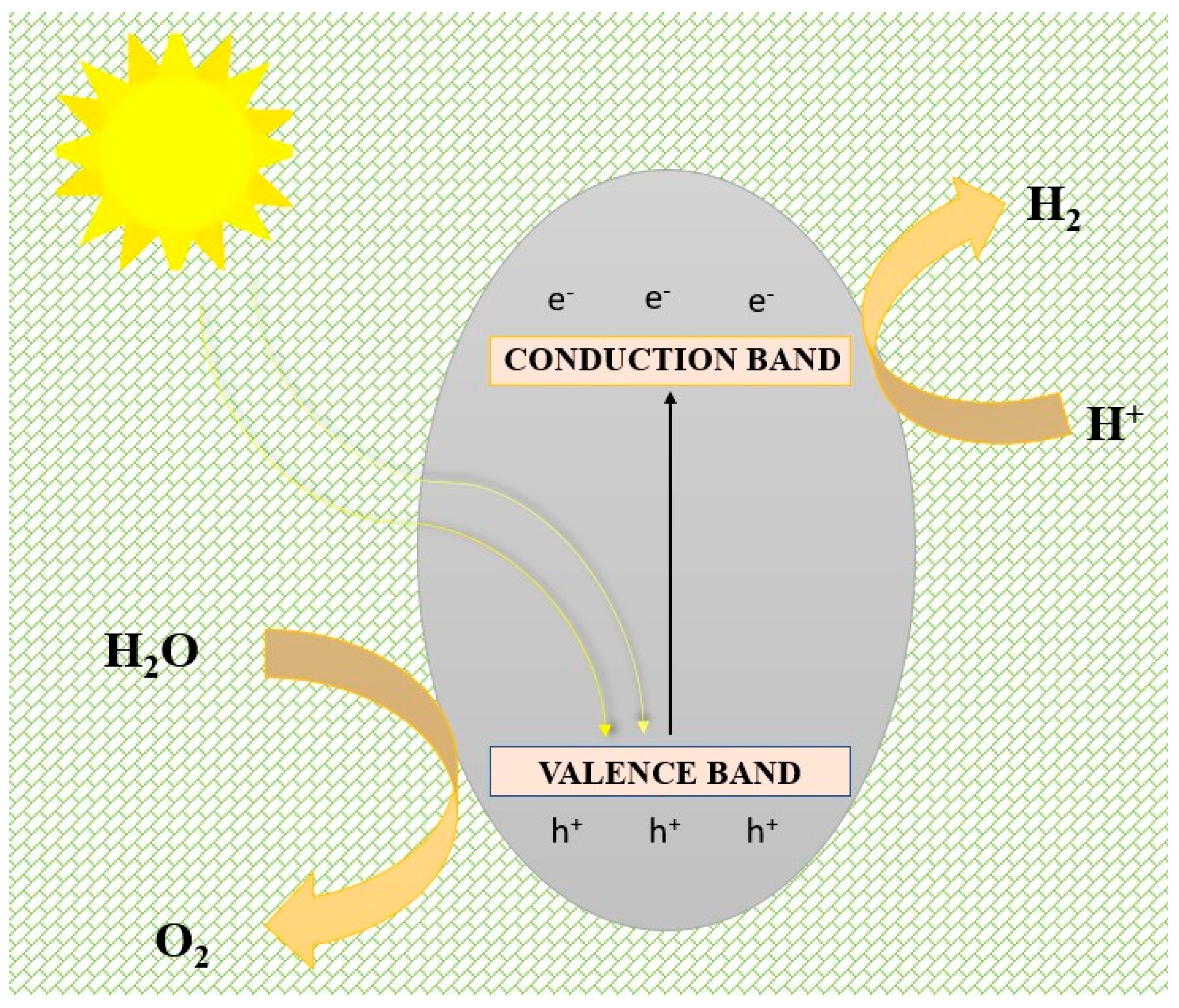 Catalysts 13 00295 g012