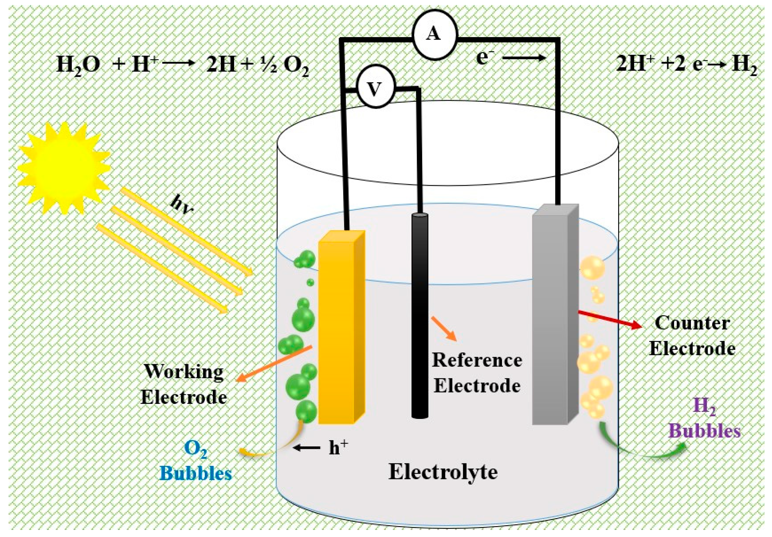 Catalysts 13 00295 g013