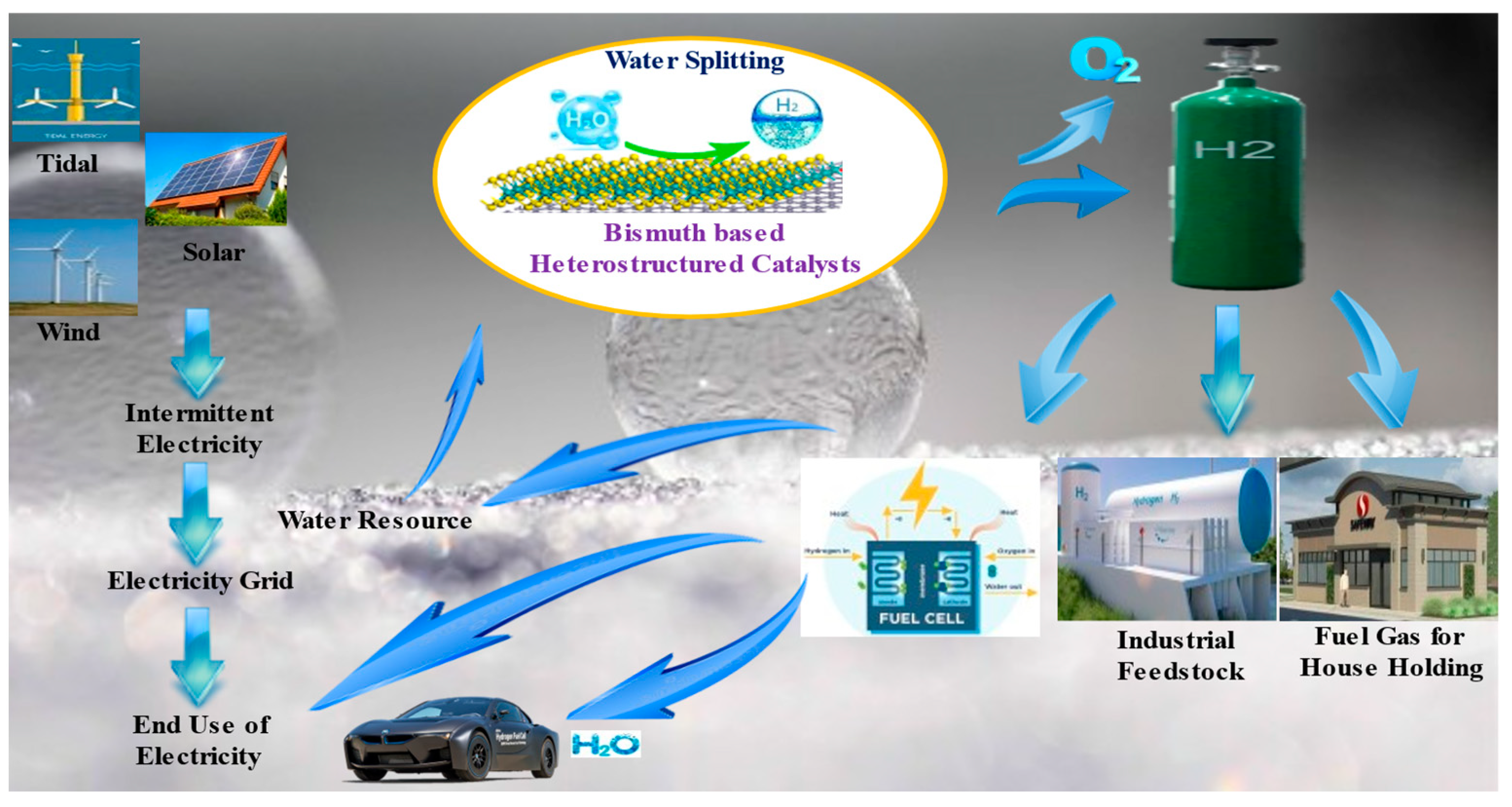Catalysts 13 00295 g016