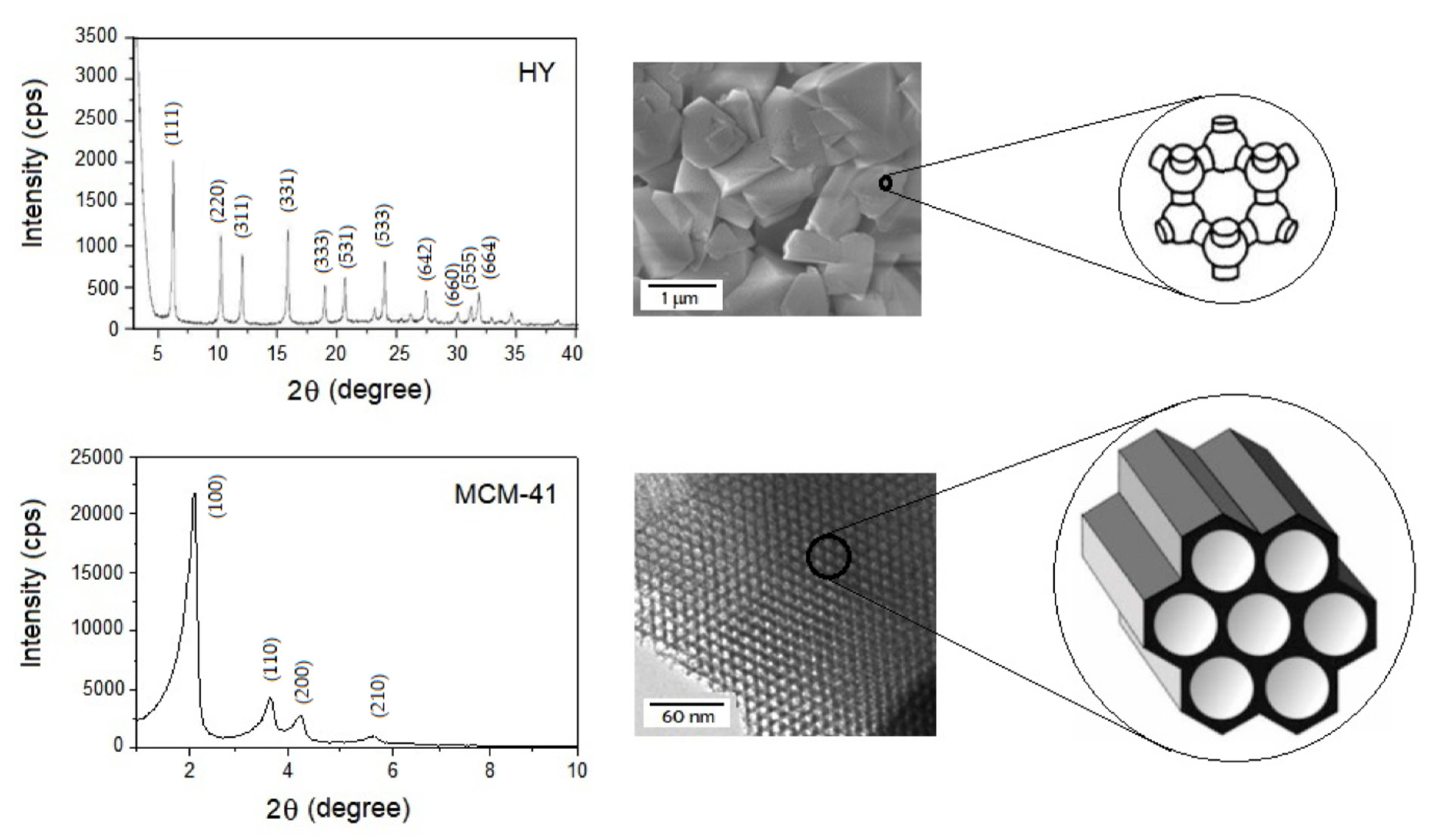 Catalysts 13 00296 g002