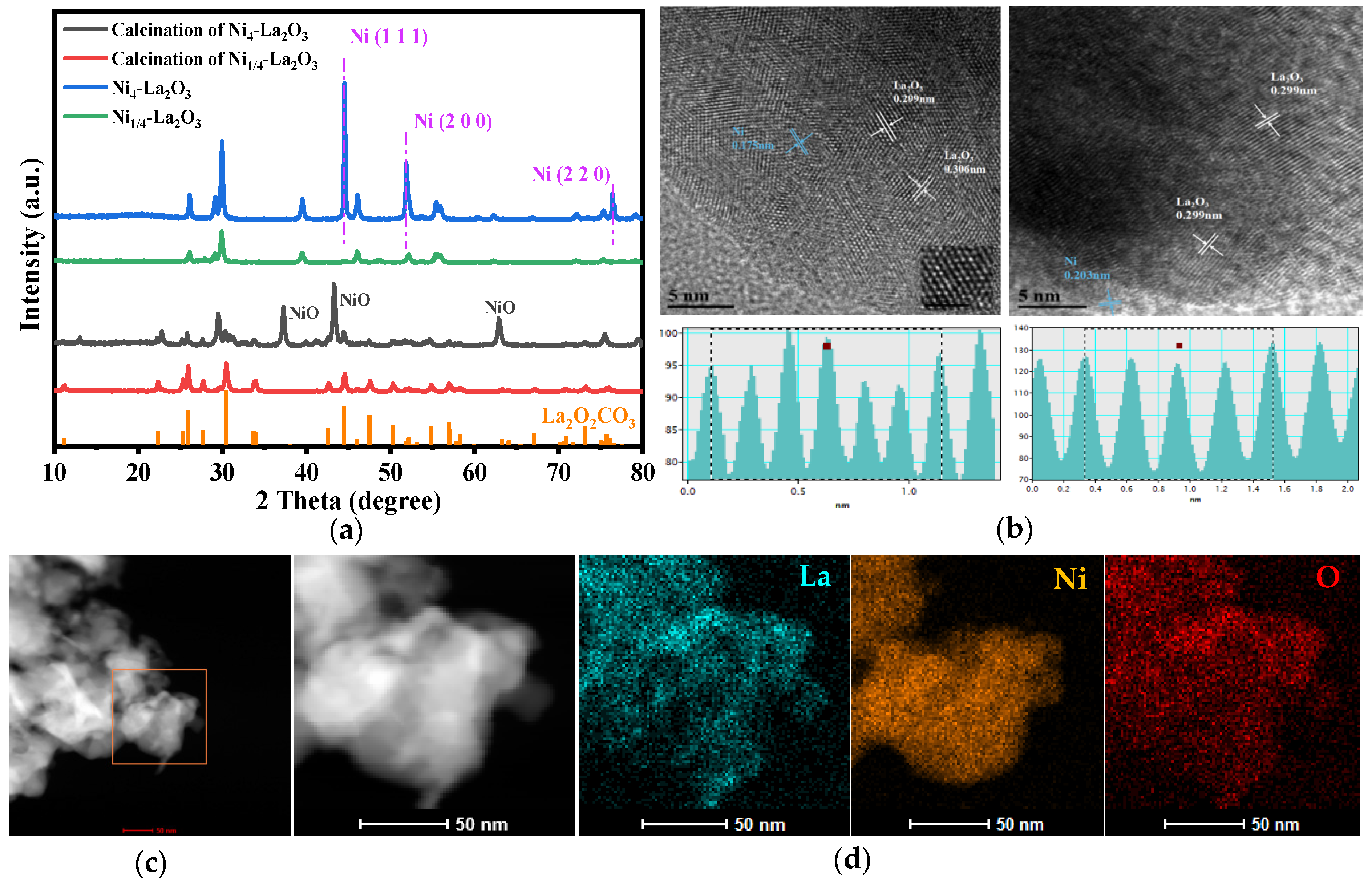 Catalysts 13 00298 g001 Catalysts 13 00298 g001