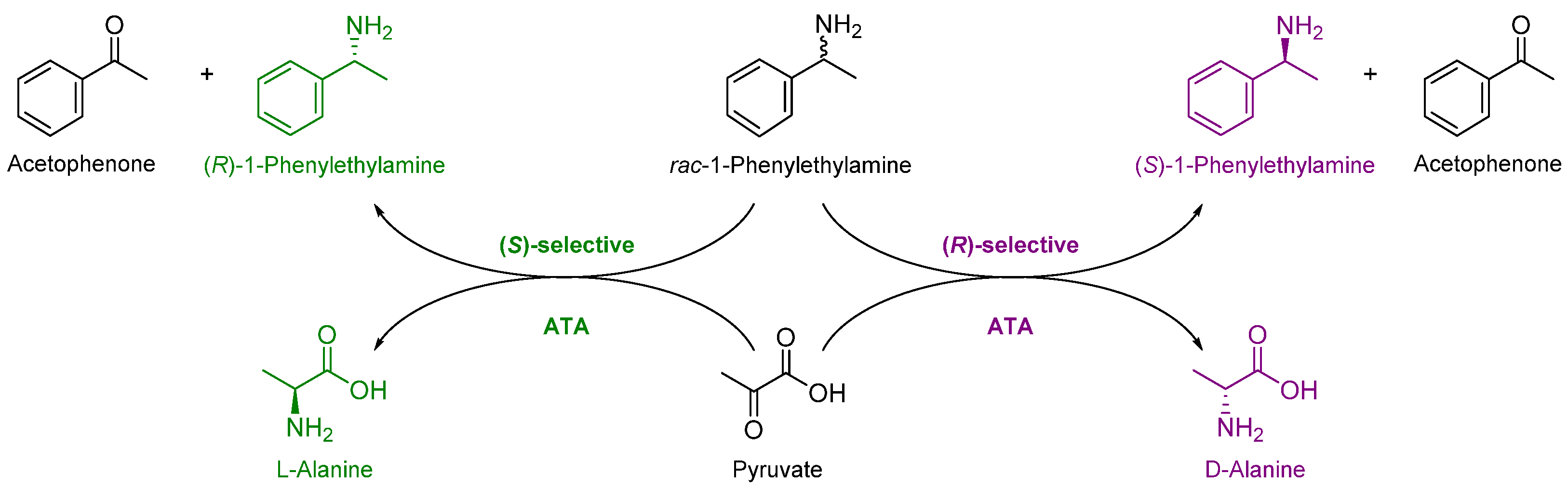 Catalysts 13 00300 sch001