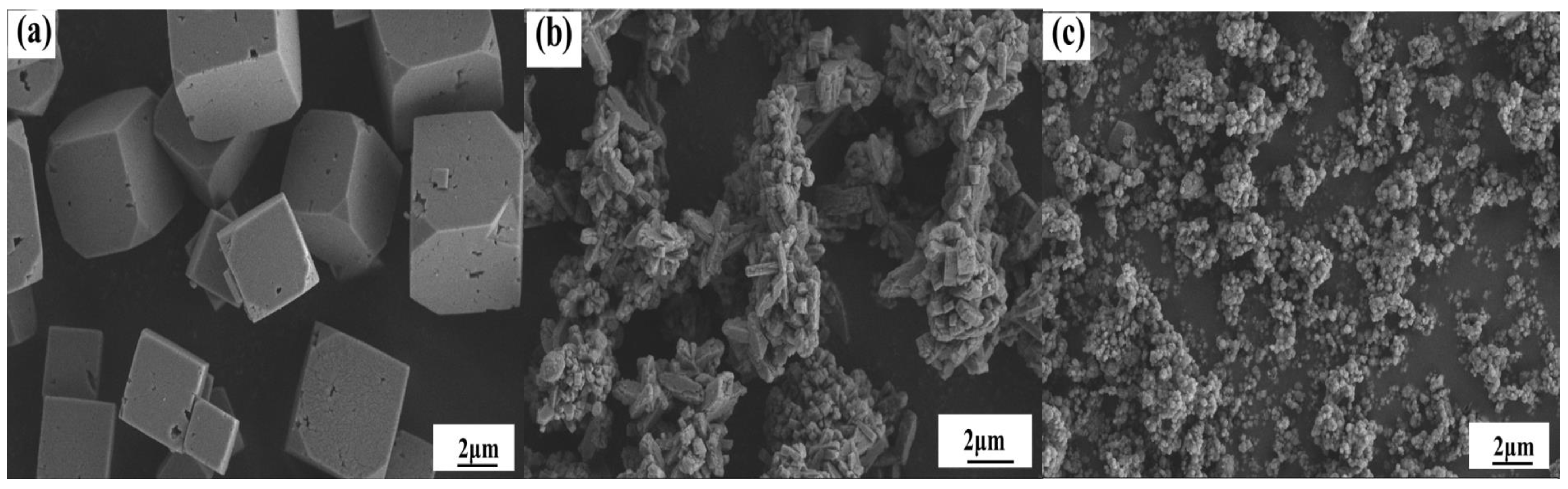 Catalysts 13 00301 g004 Catalysts 13 00301 g004