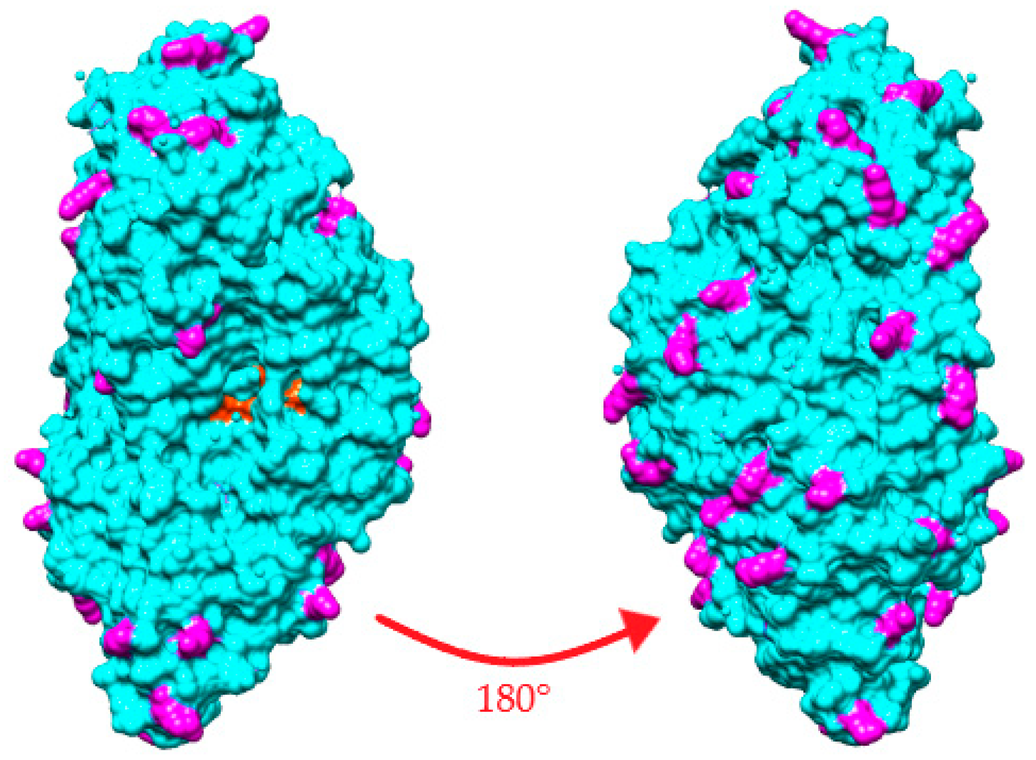 Catalysts 13 00306 g001 Catalysts 13 00306 g001