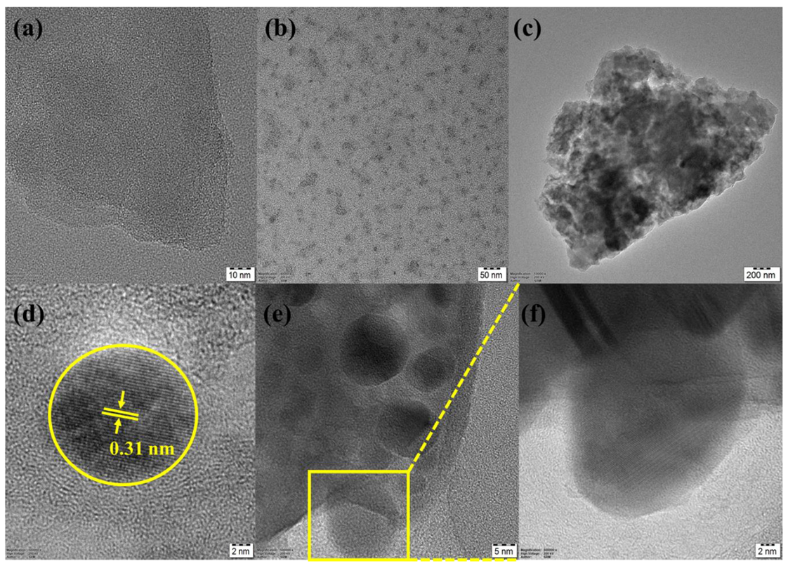Catalysts 13 00308 g003