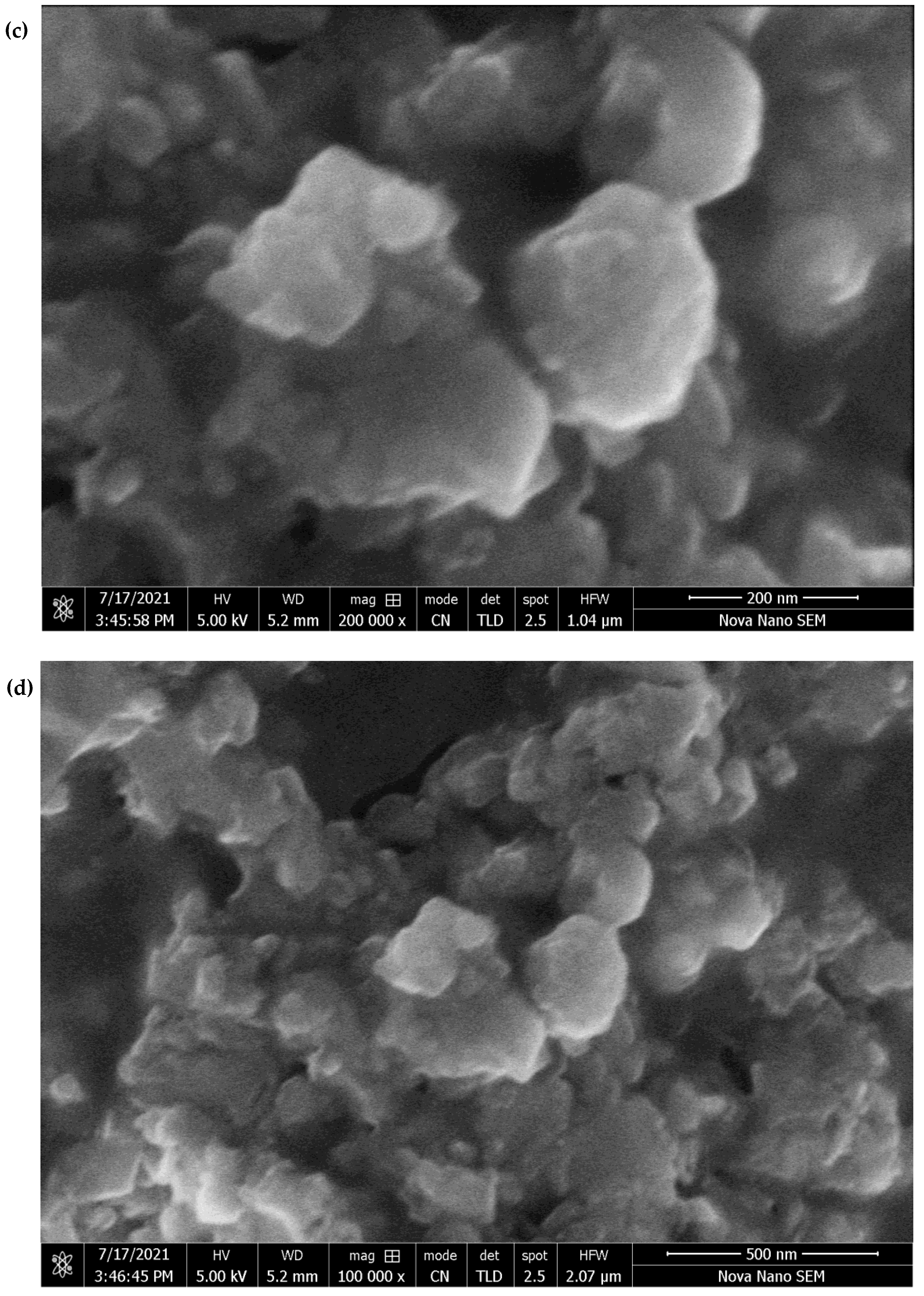Catalysts 13 00310 g003b