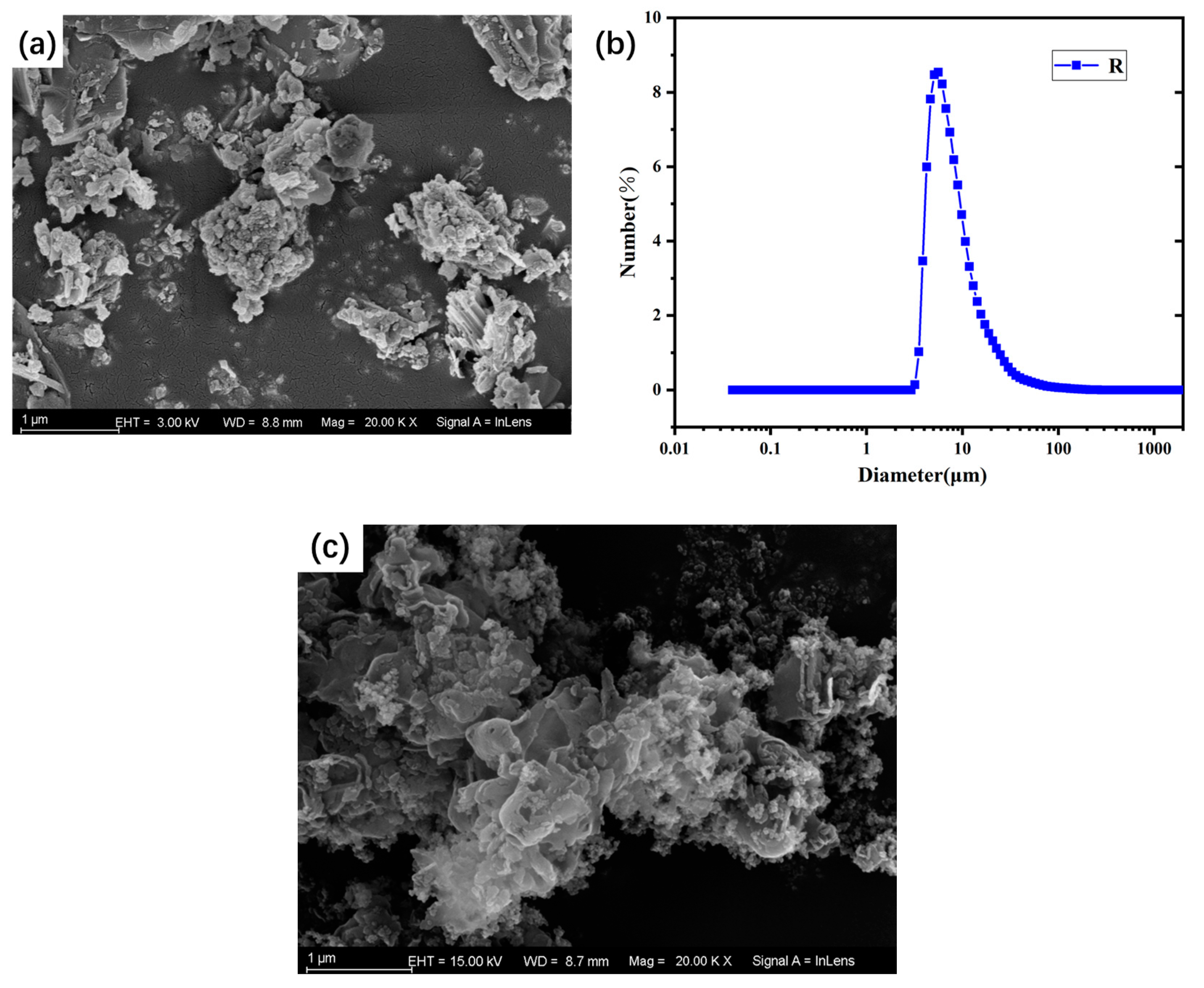 Catalysts 13 00312 g001