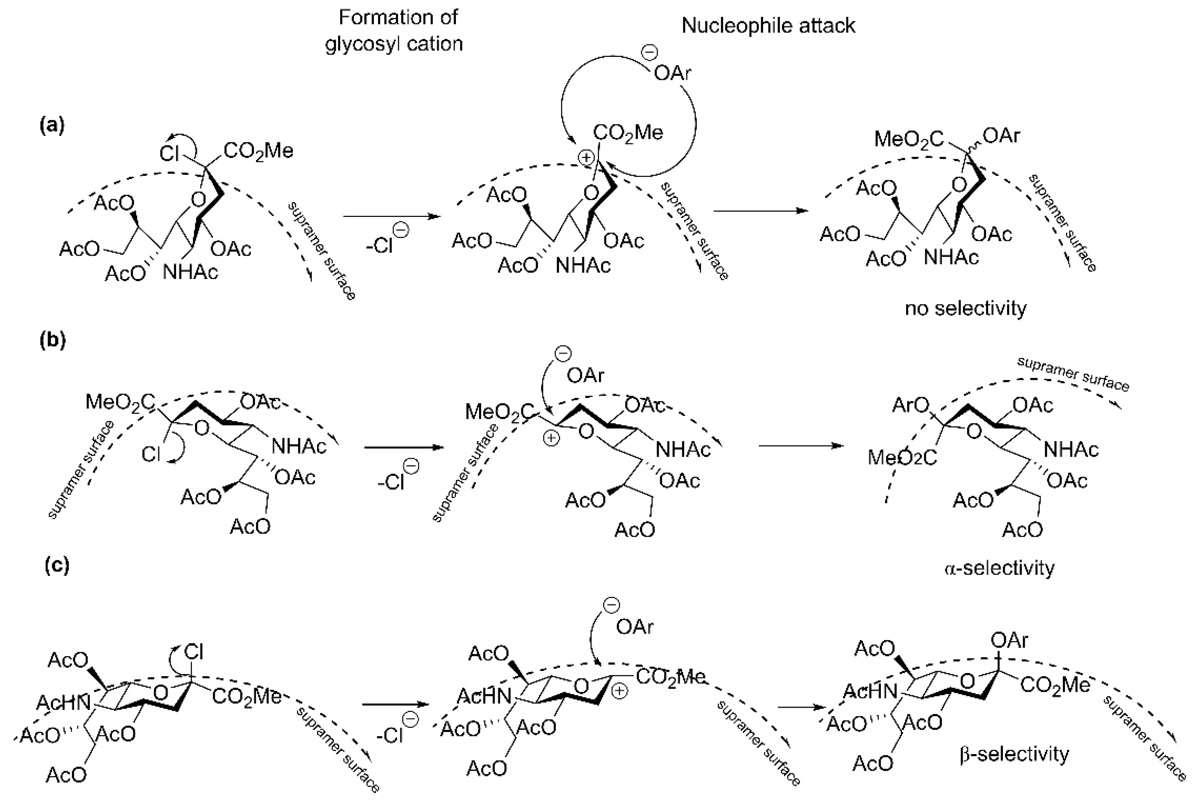 Catalysts 13 00313 g005