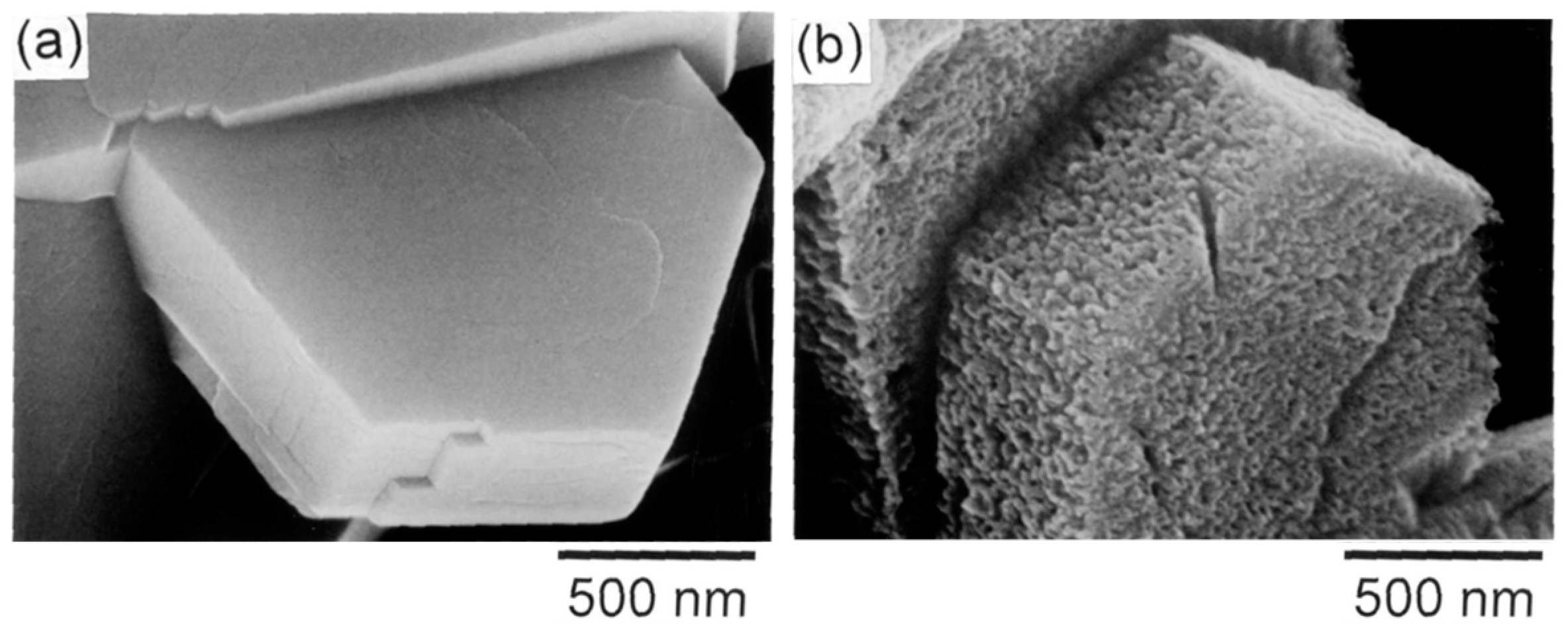 Catalysts 13 00316 g002