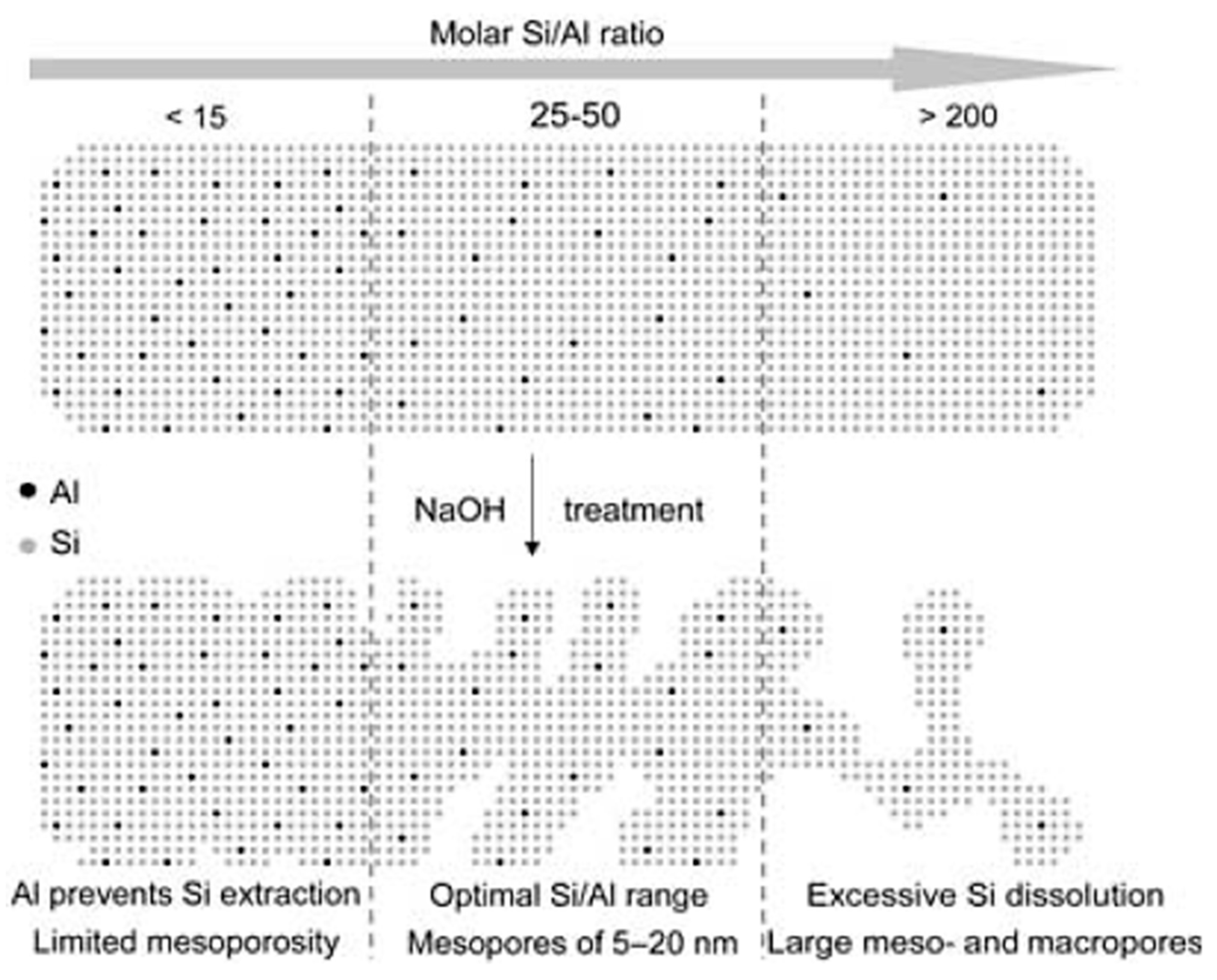 Catalysts 13 00316 g003