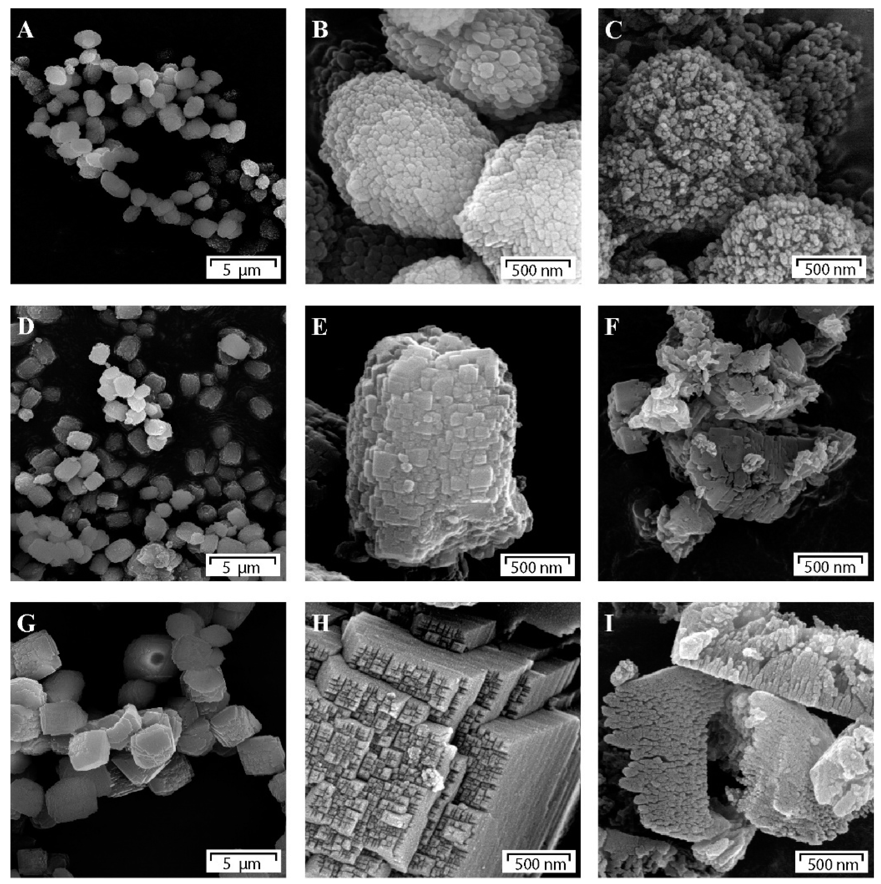 Catalysts 13 00316 g009