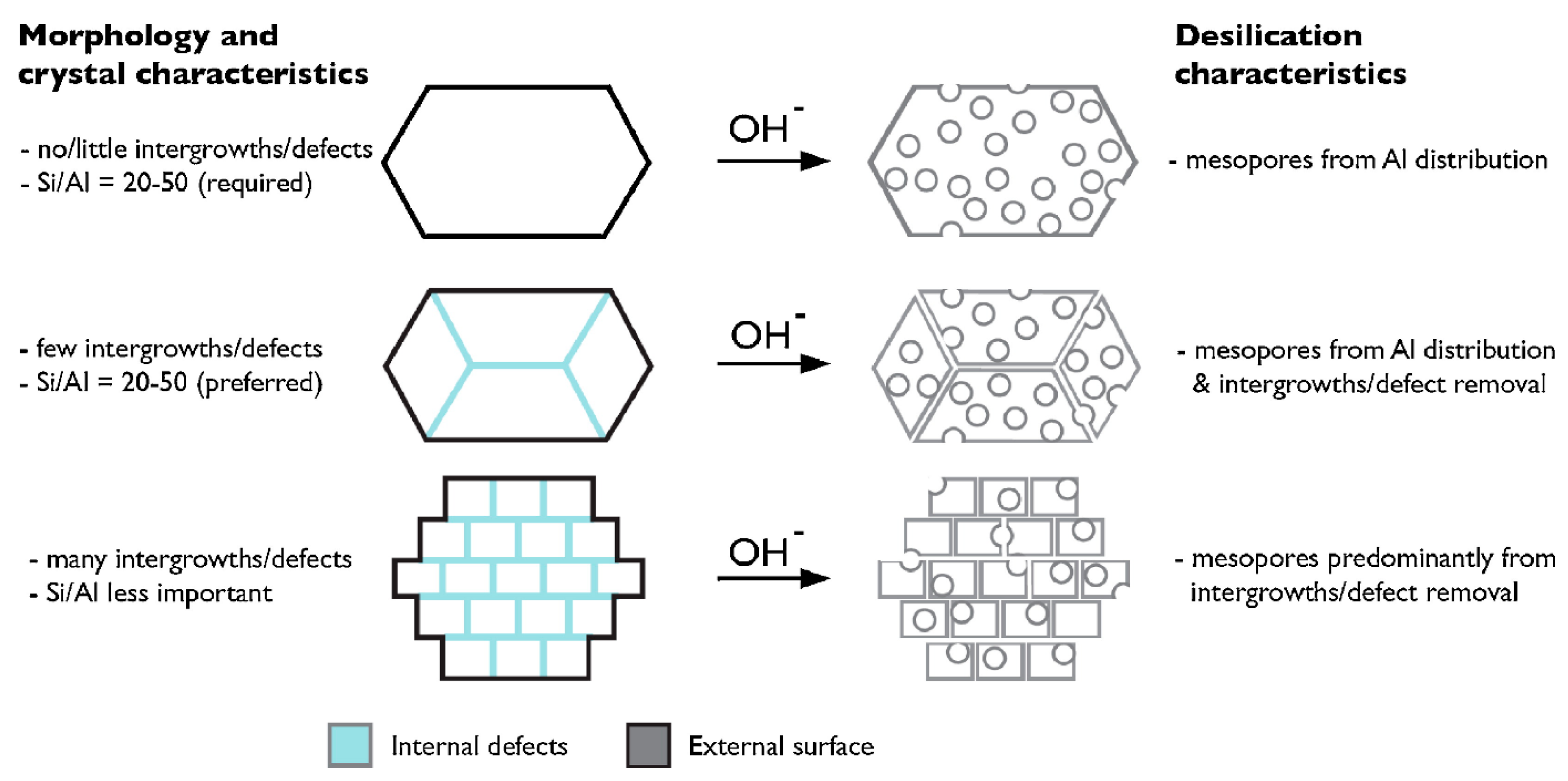 Catalysts 13 00316 g010