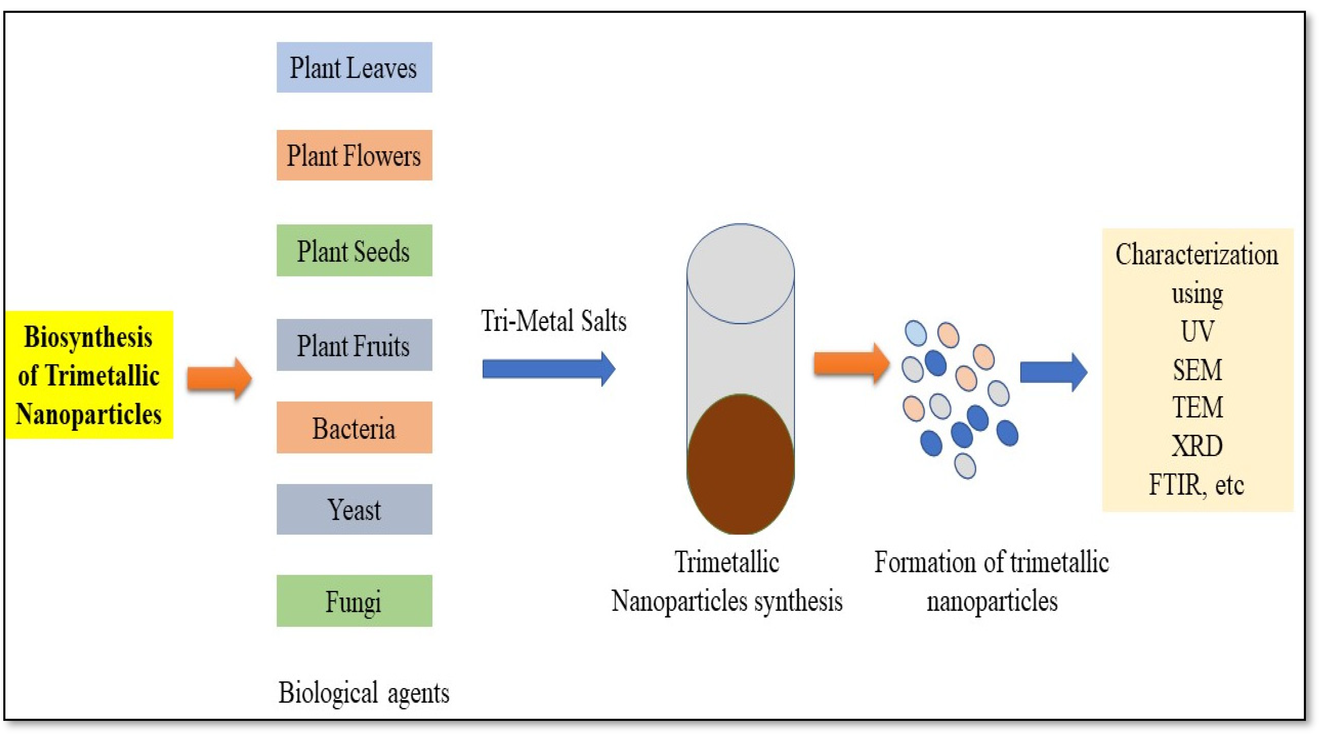 Catalysts 13 00321 g003