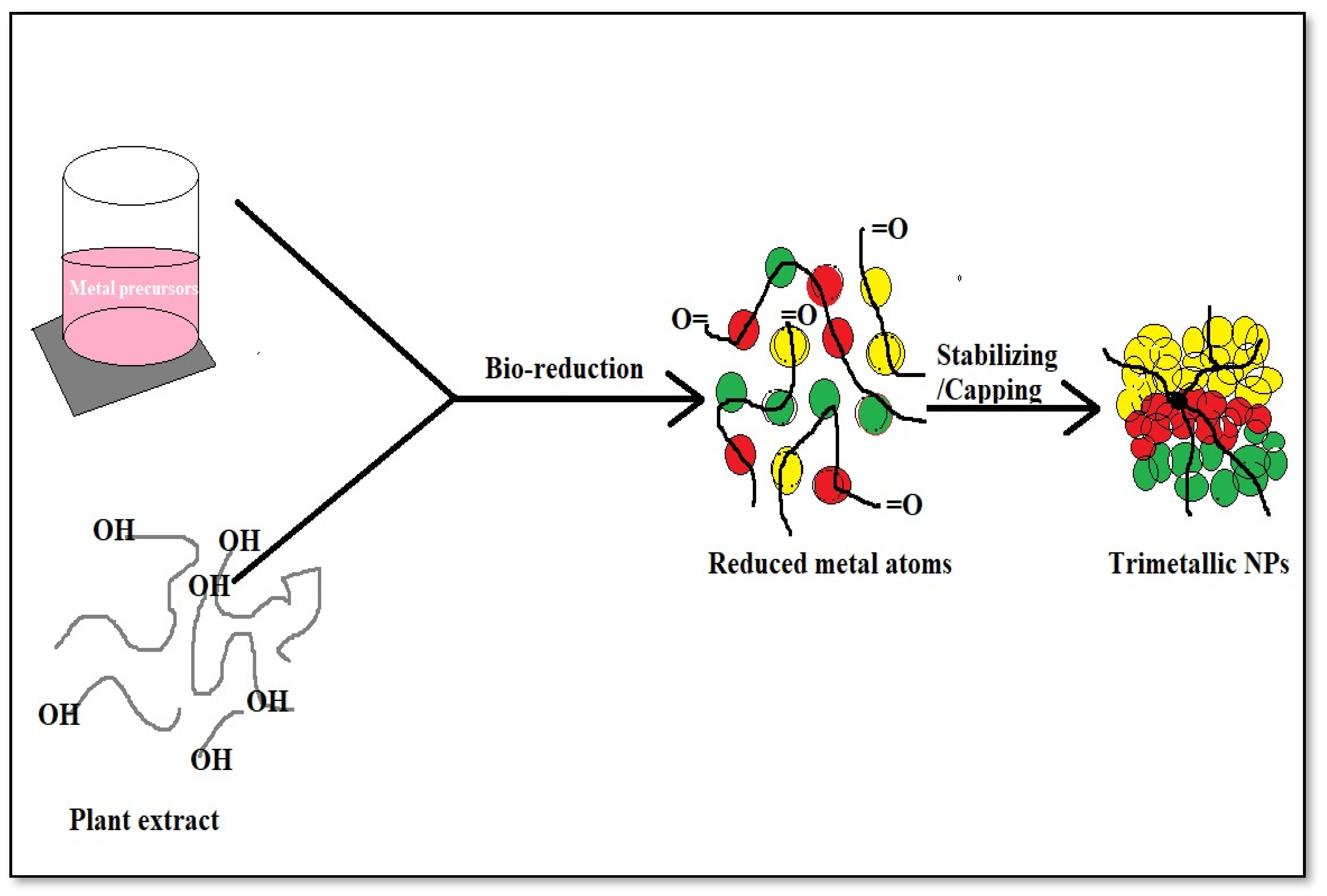 Catalysts 13 00321 g004