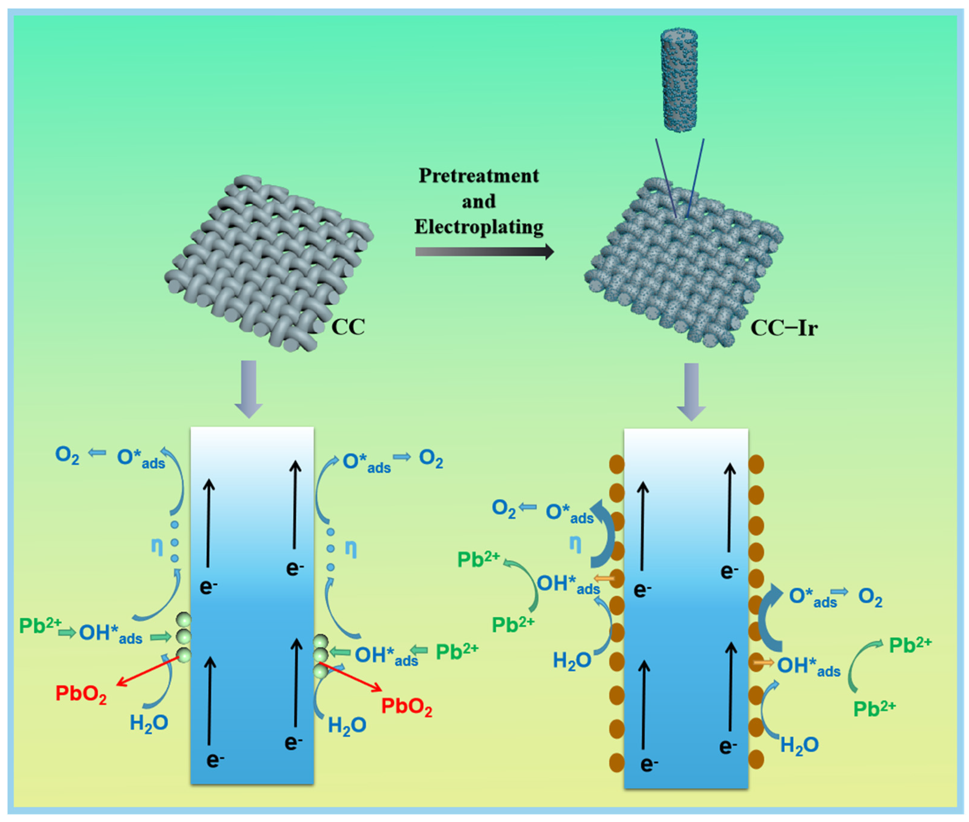 Catalysts 13 00322 g001