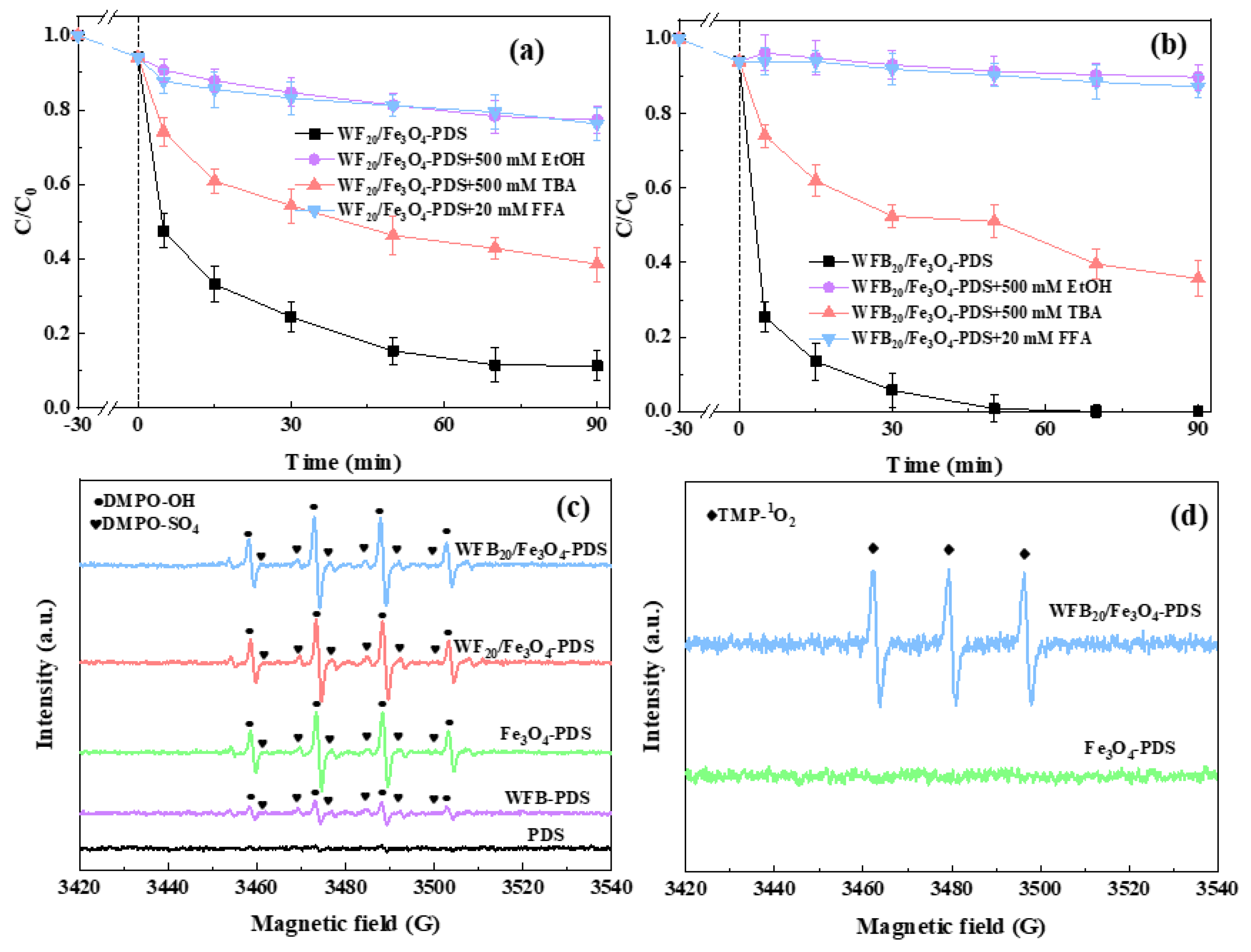 Catalysts 13 00323 g006