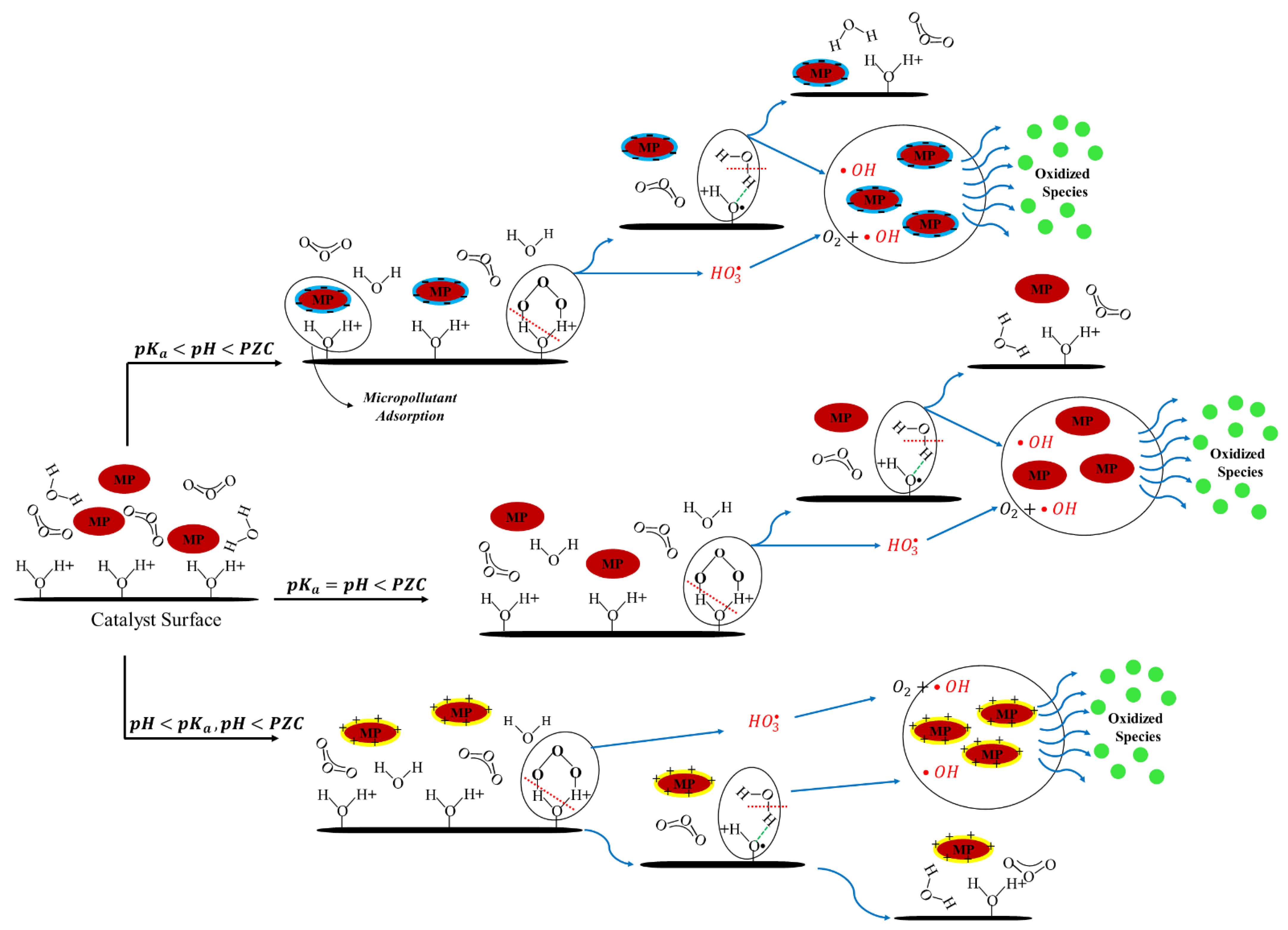 Catalysts 13 00324 g003
