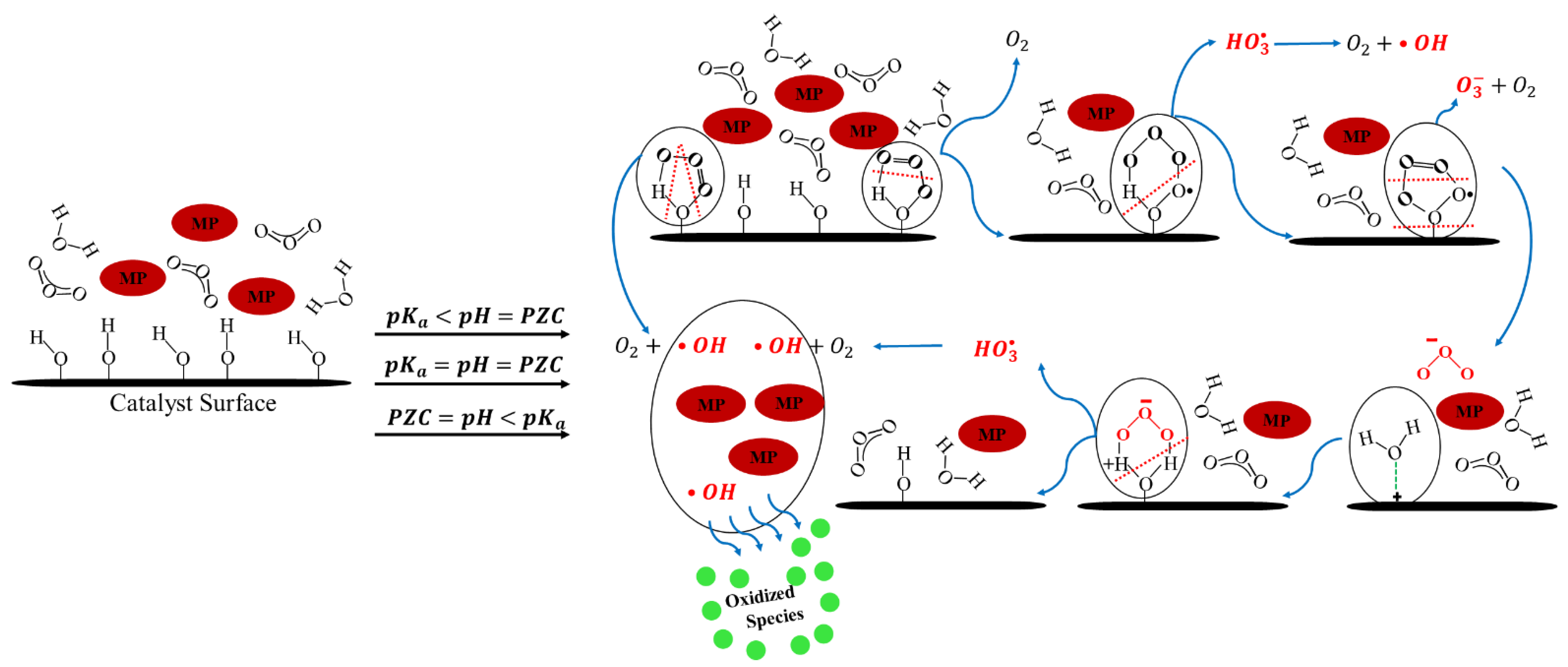 Catalysts 13 00324 g004