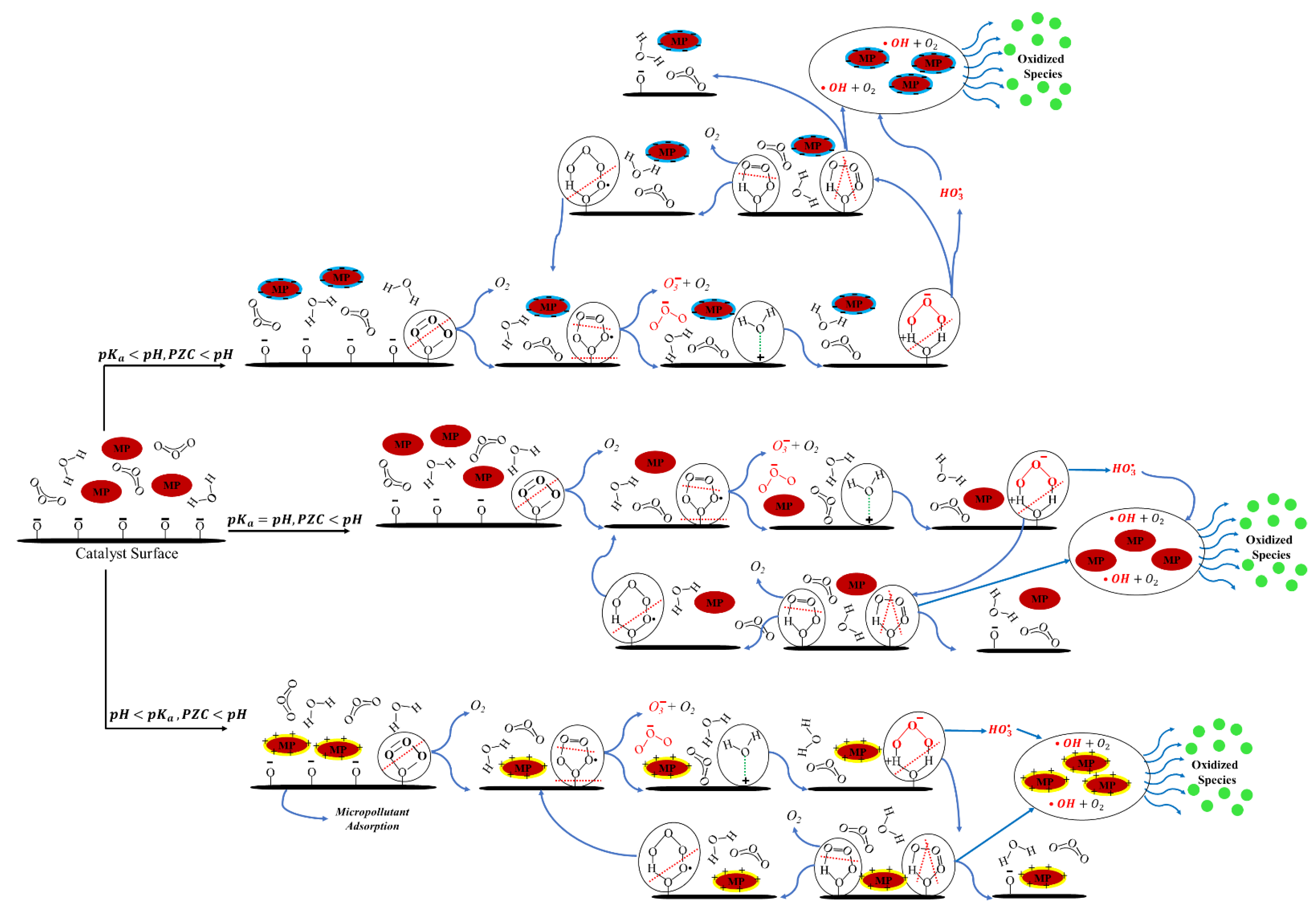 Catalysts 13 00324 g005