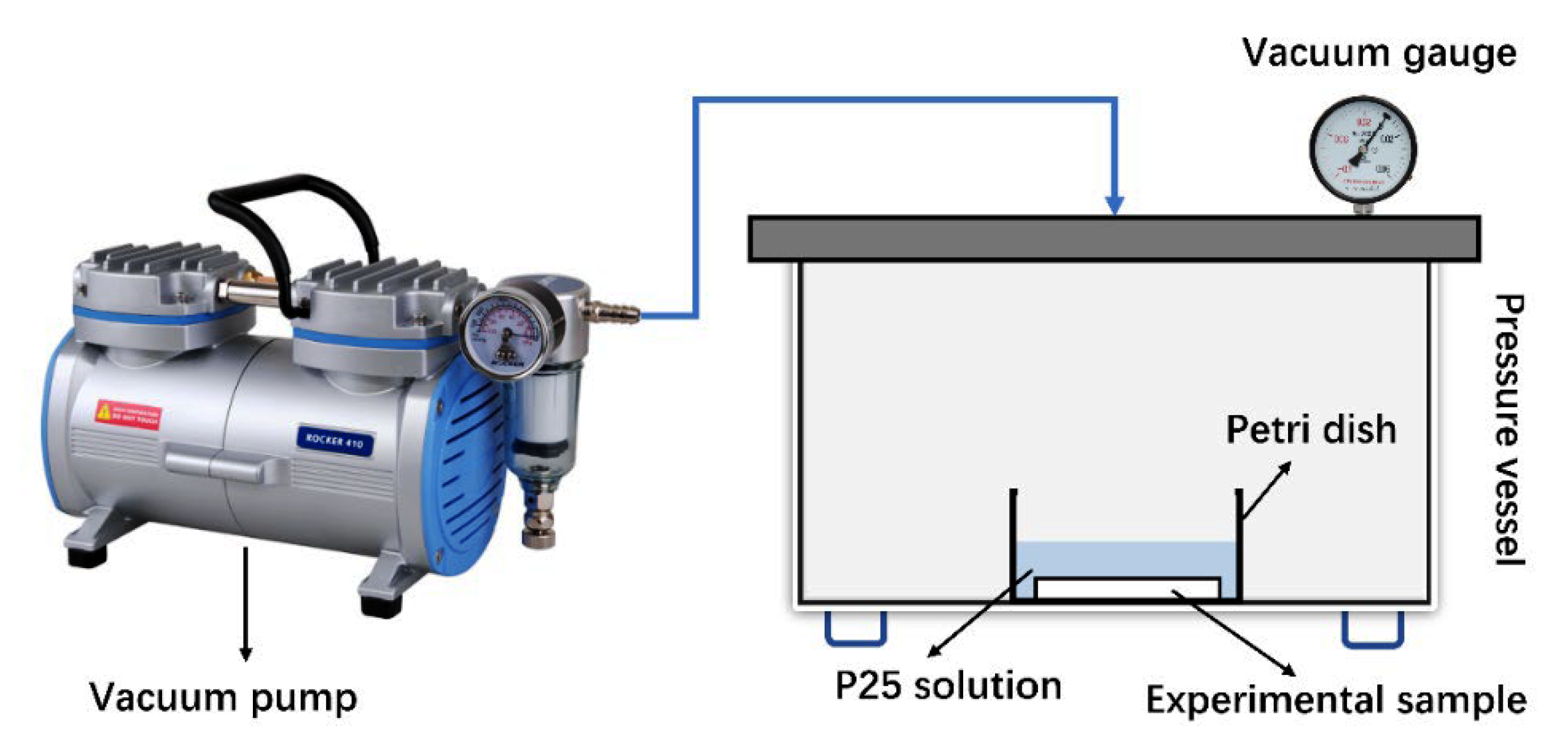 Catalysts 13 00326 g010 Catalysts 13 00326 g010