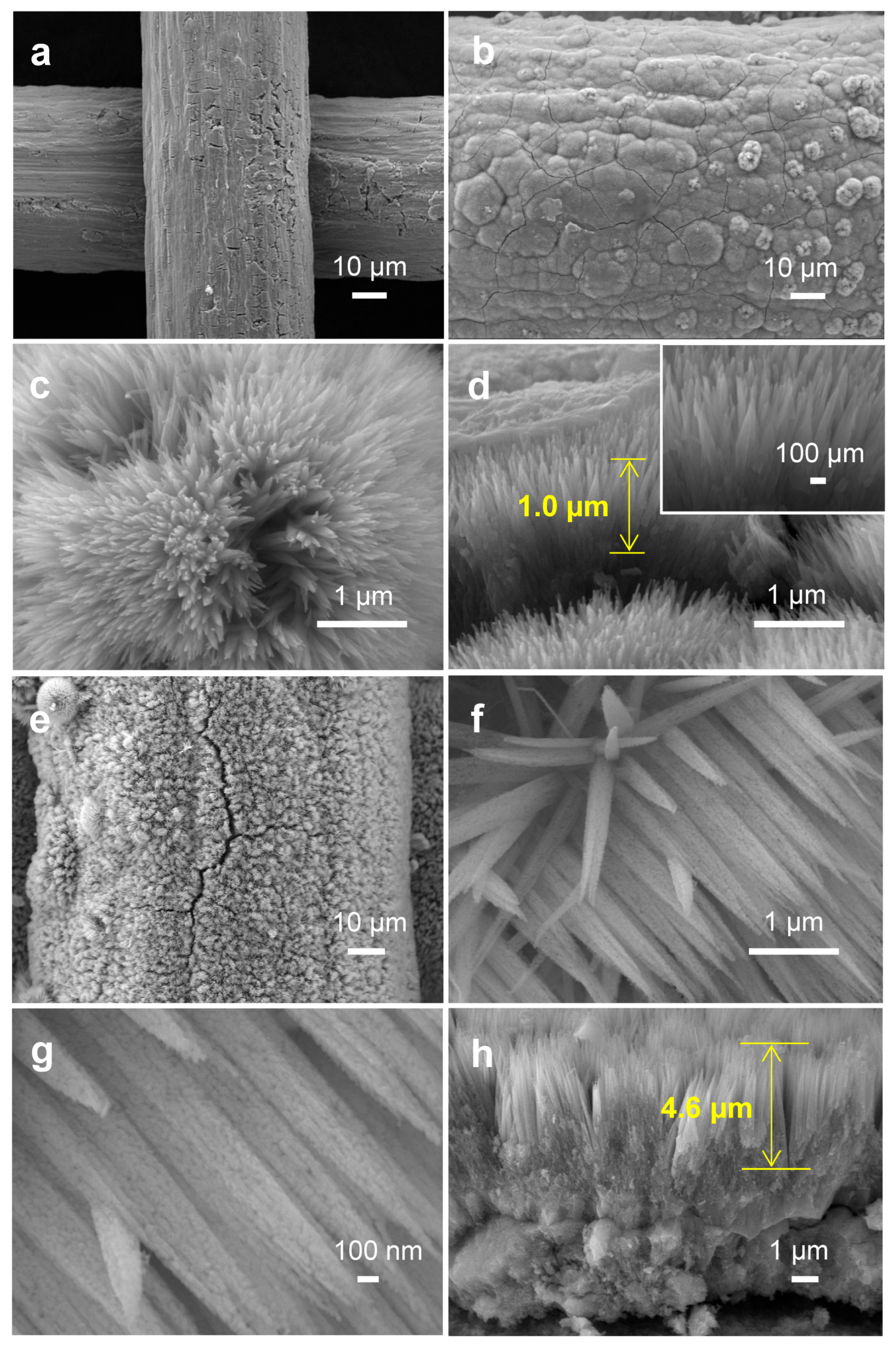 Catalysts 13 00327 g001