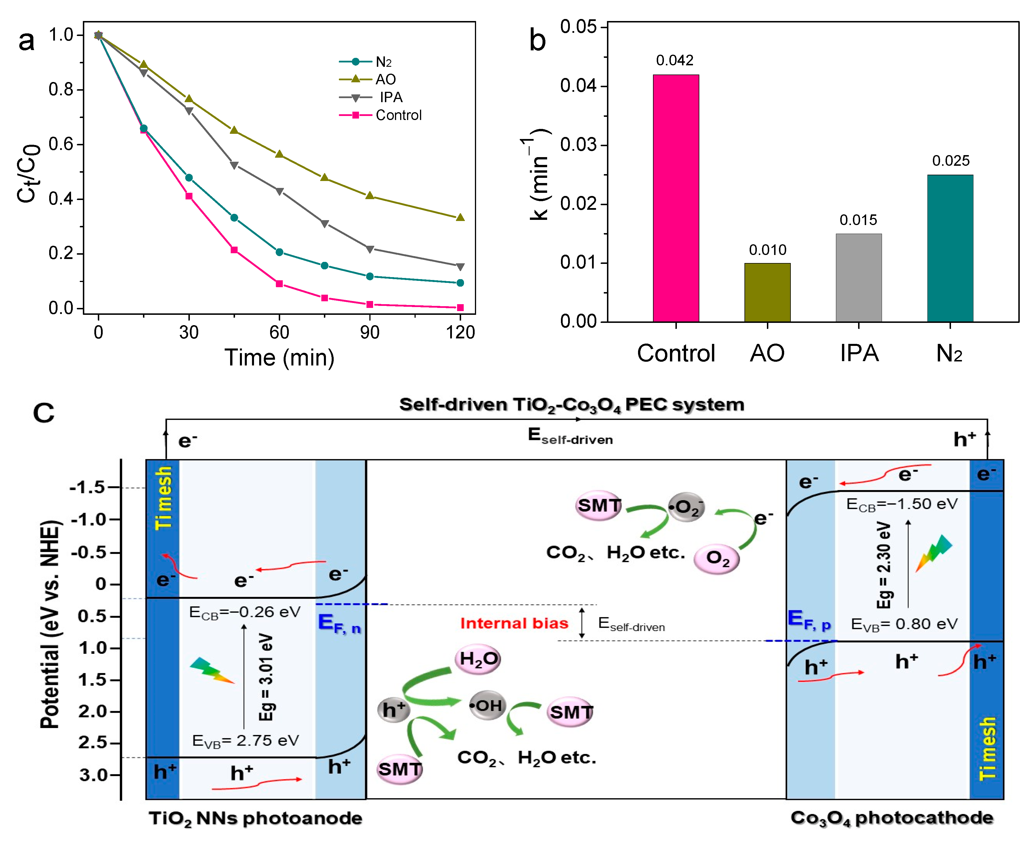 Catalysts 13 00327 g007
