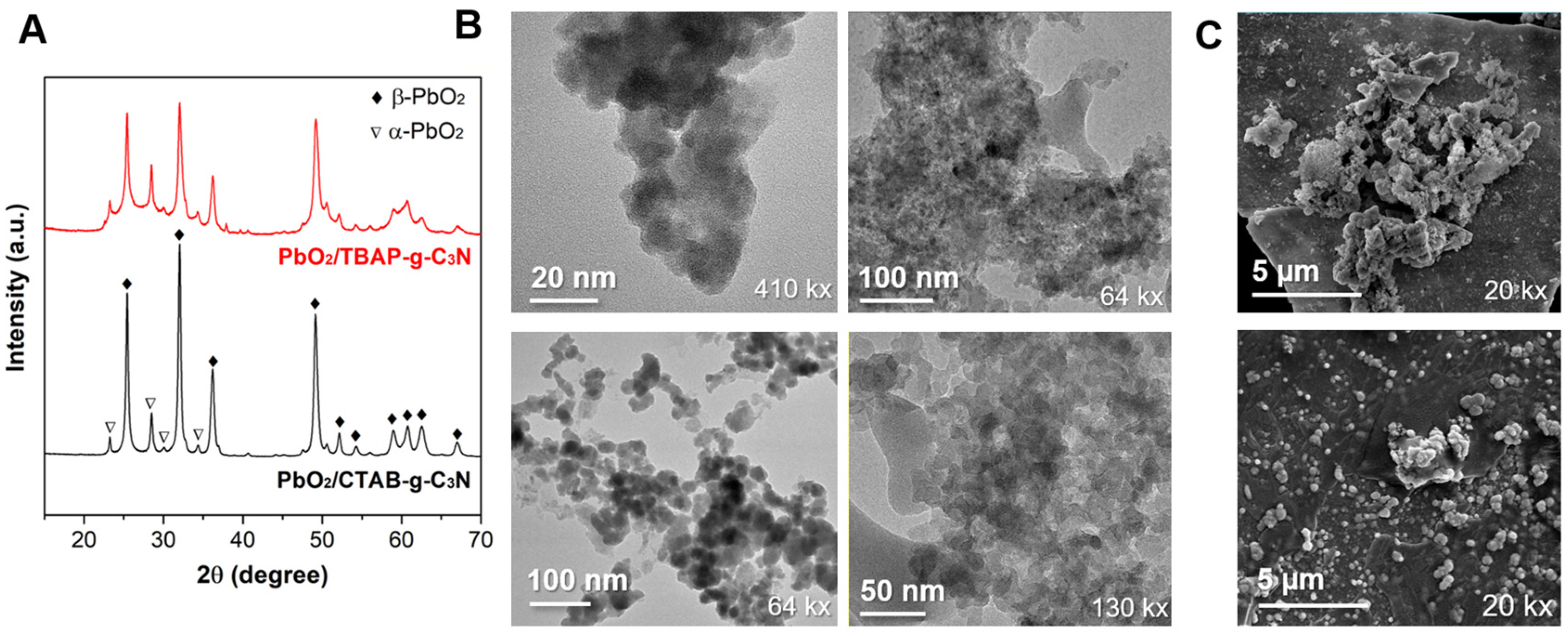 Catalysts 13 00328 g001
