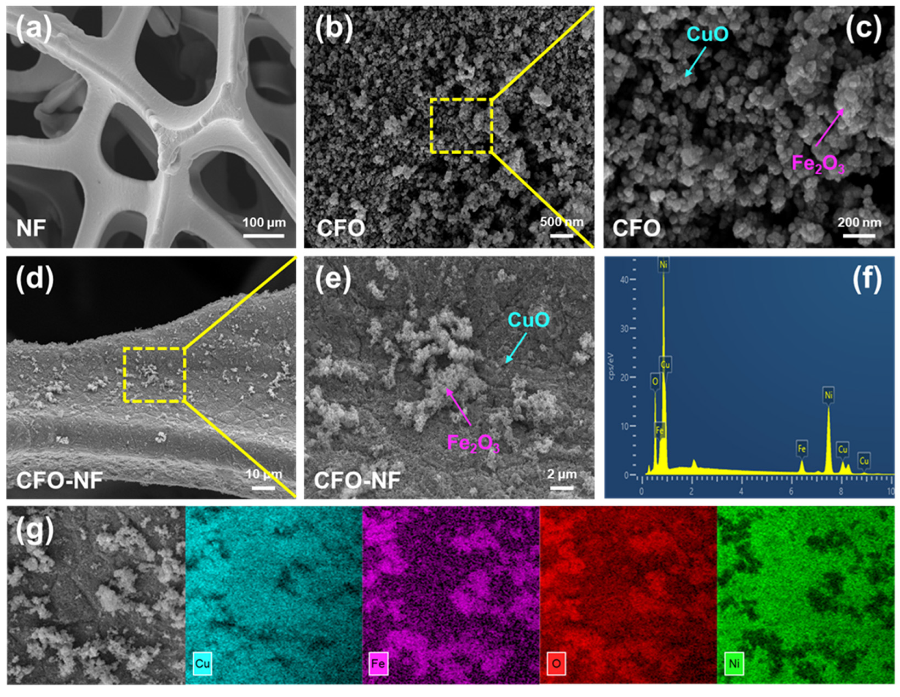 Catalysts 13 00329 g001