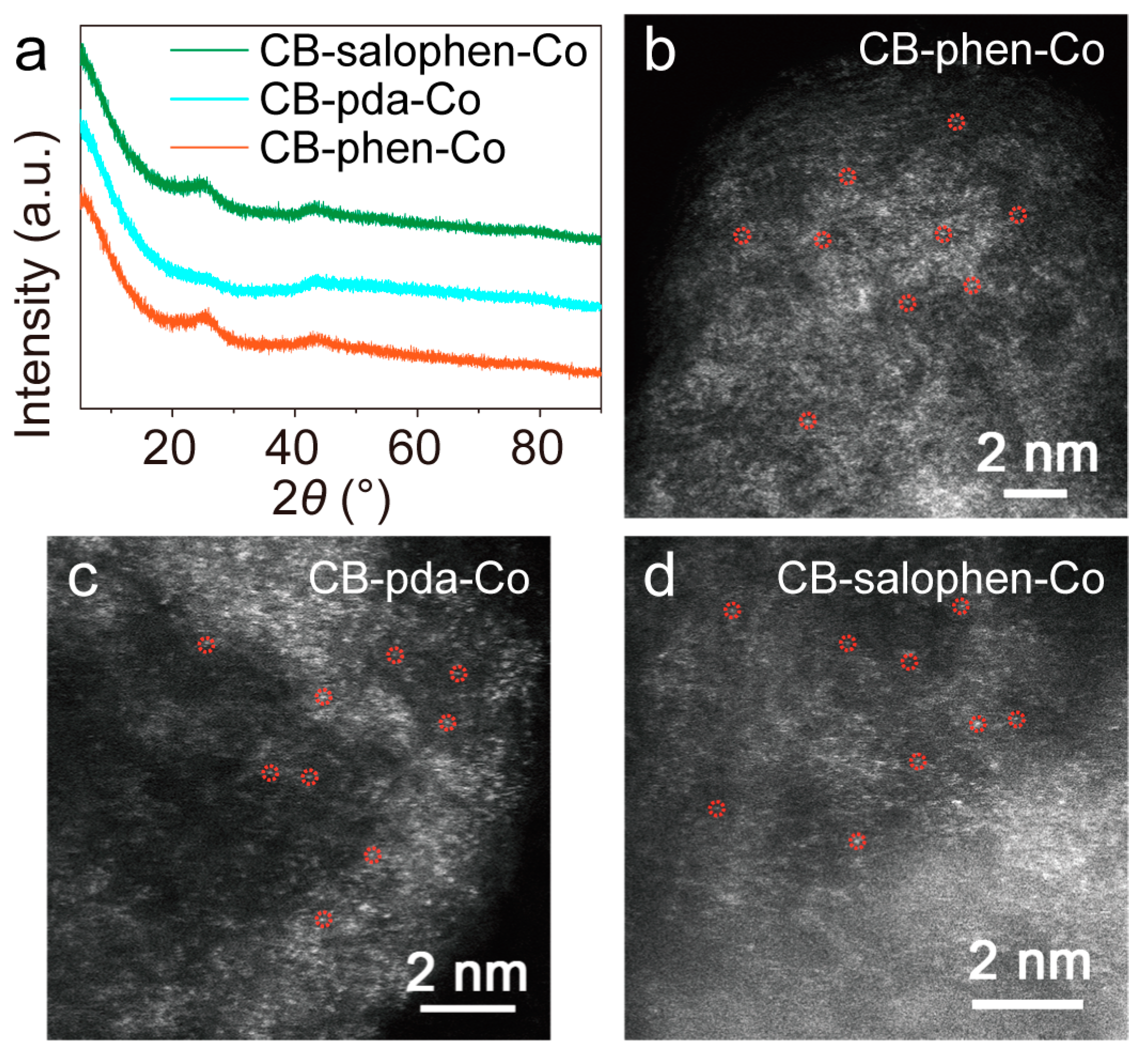 Catalysts 13 00330 g001