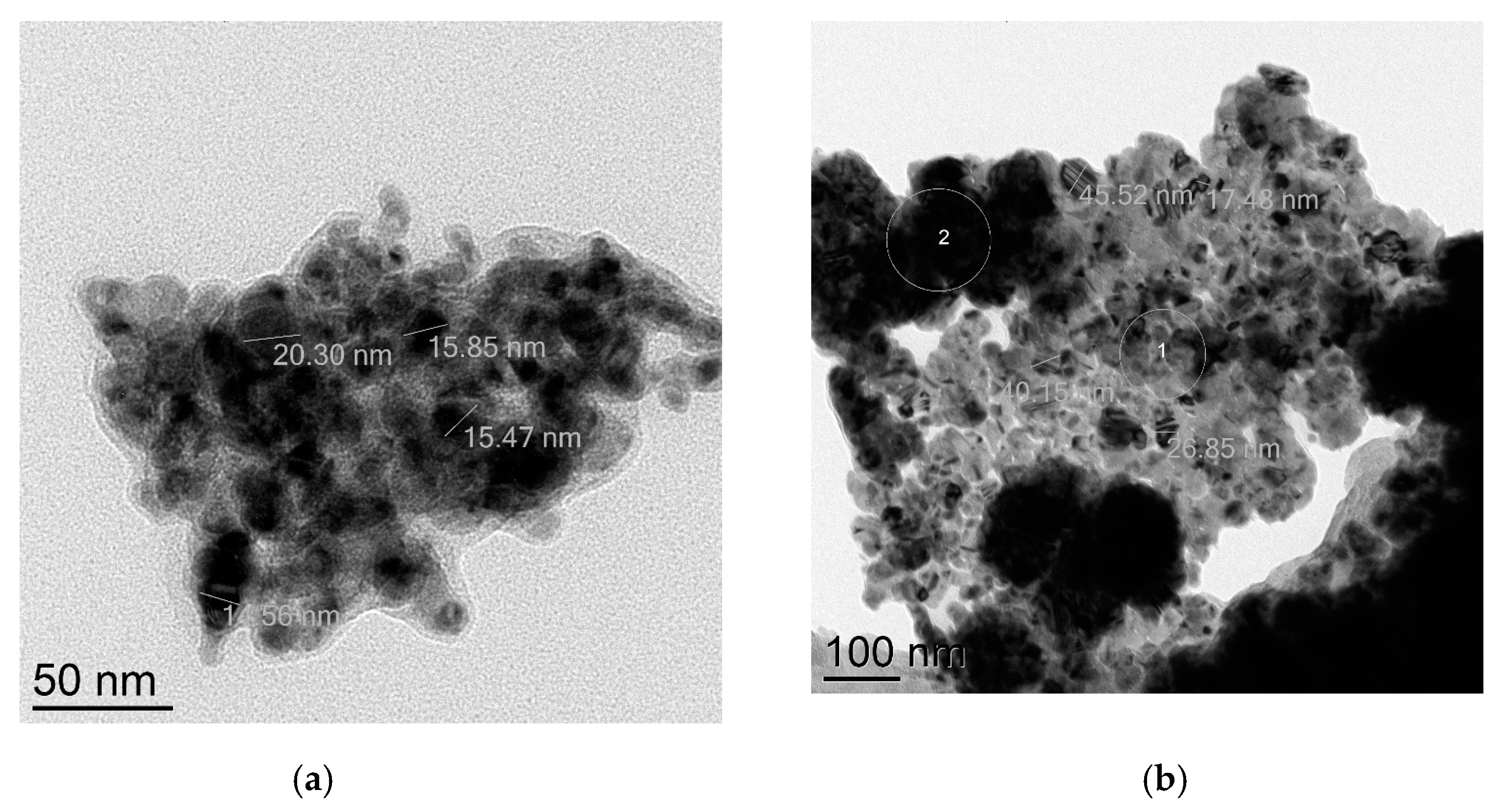Catalysts 13 00331 g001