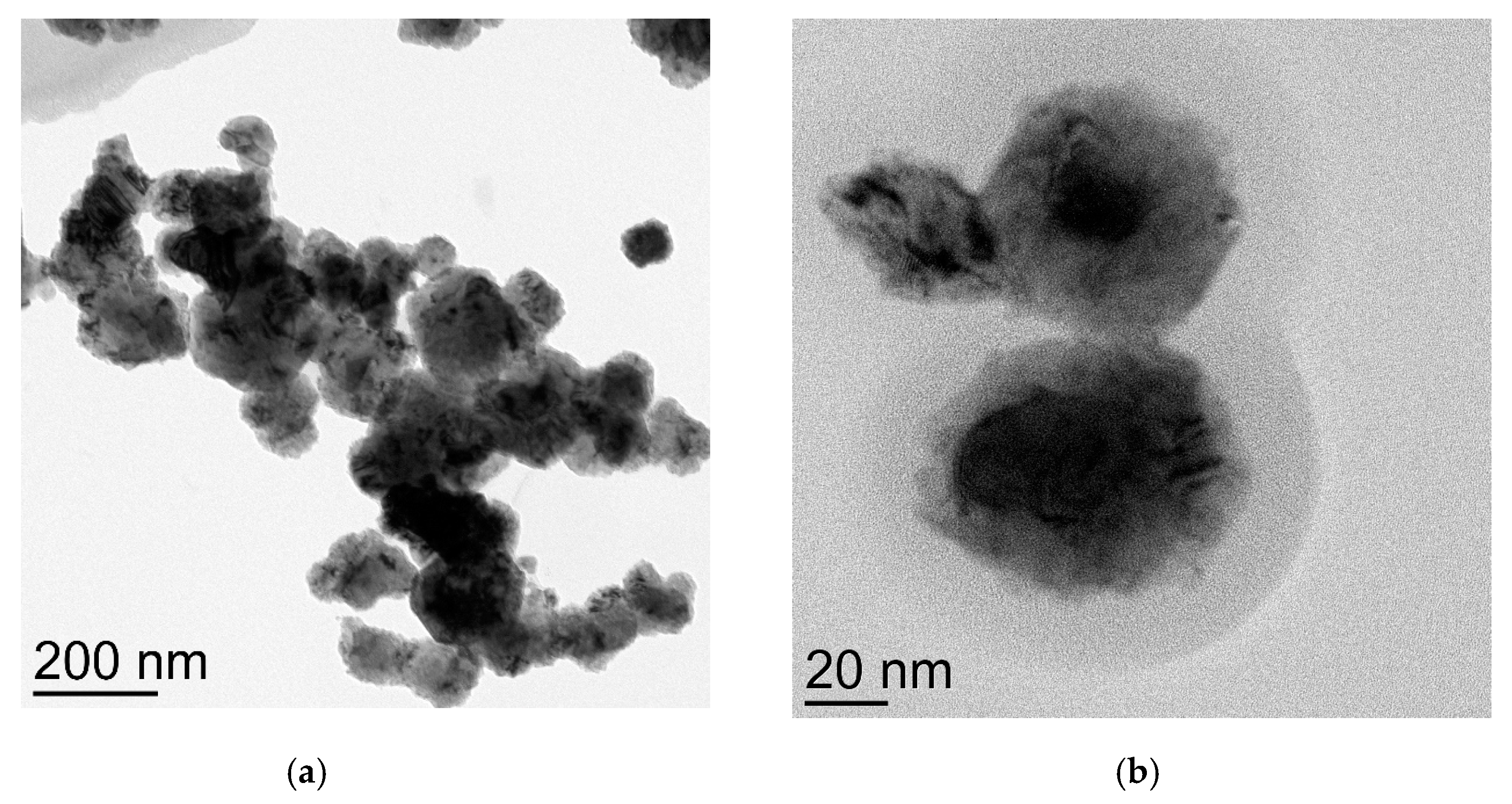 Catalysts 13 00331 g003