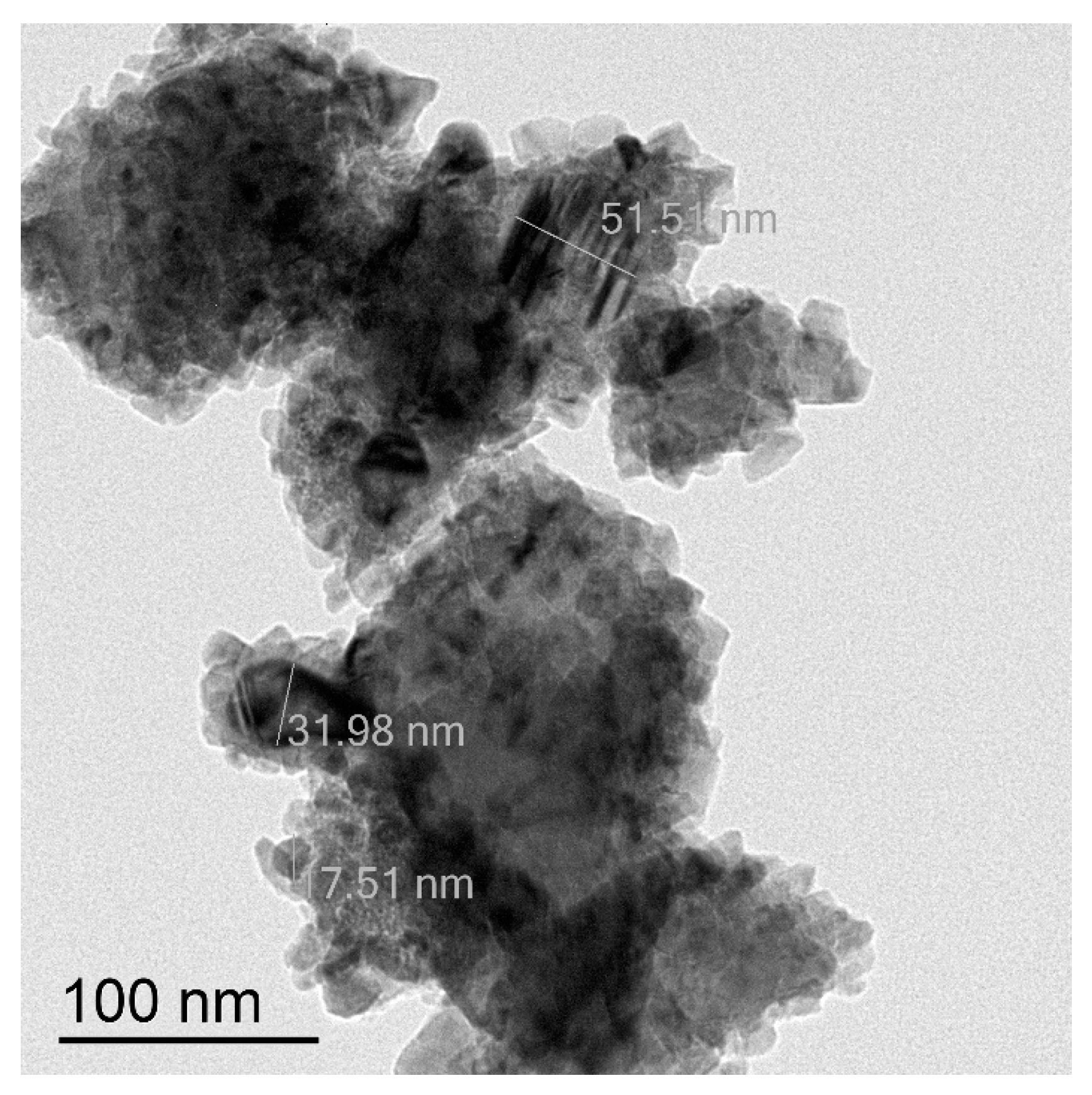 Catalysts 13 00331 g004