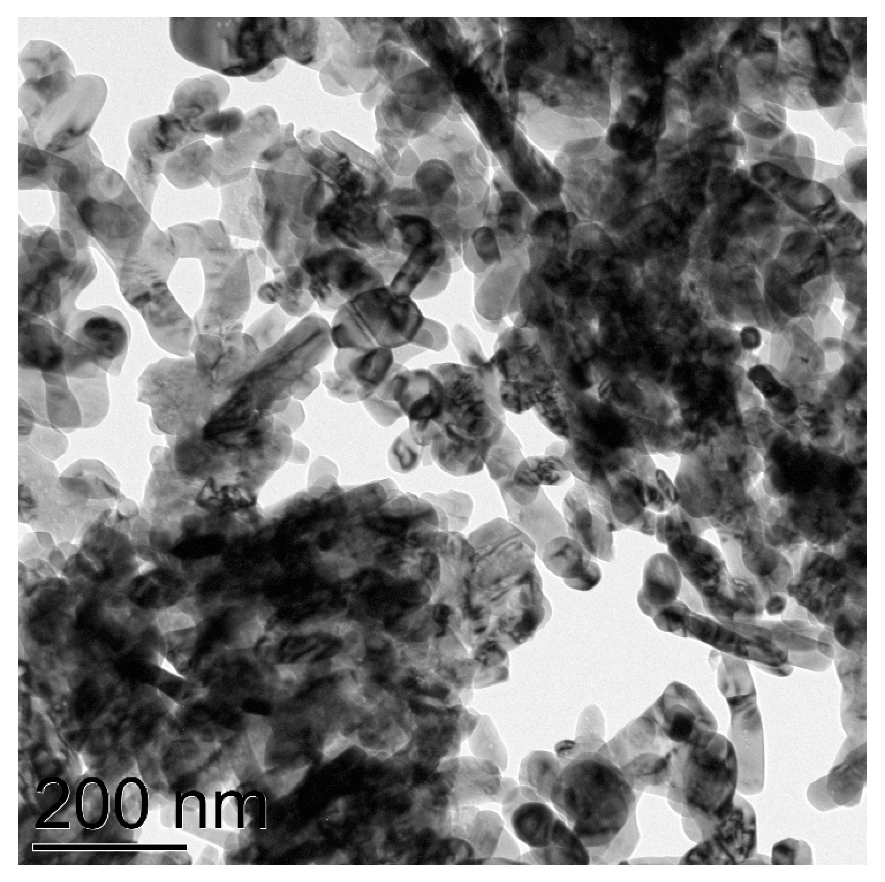 Catalysts 13 00331 g006