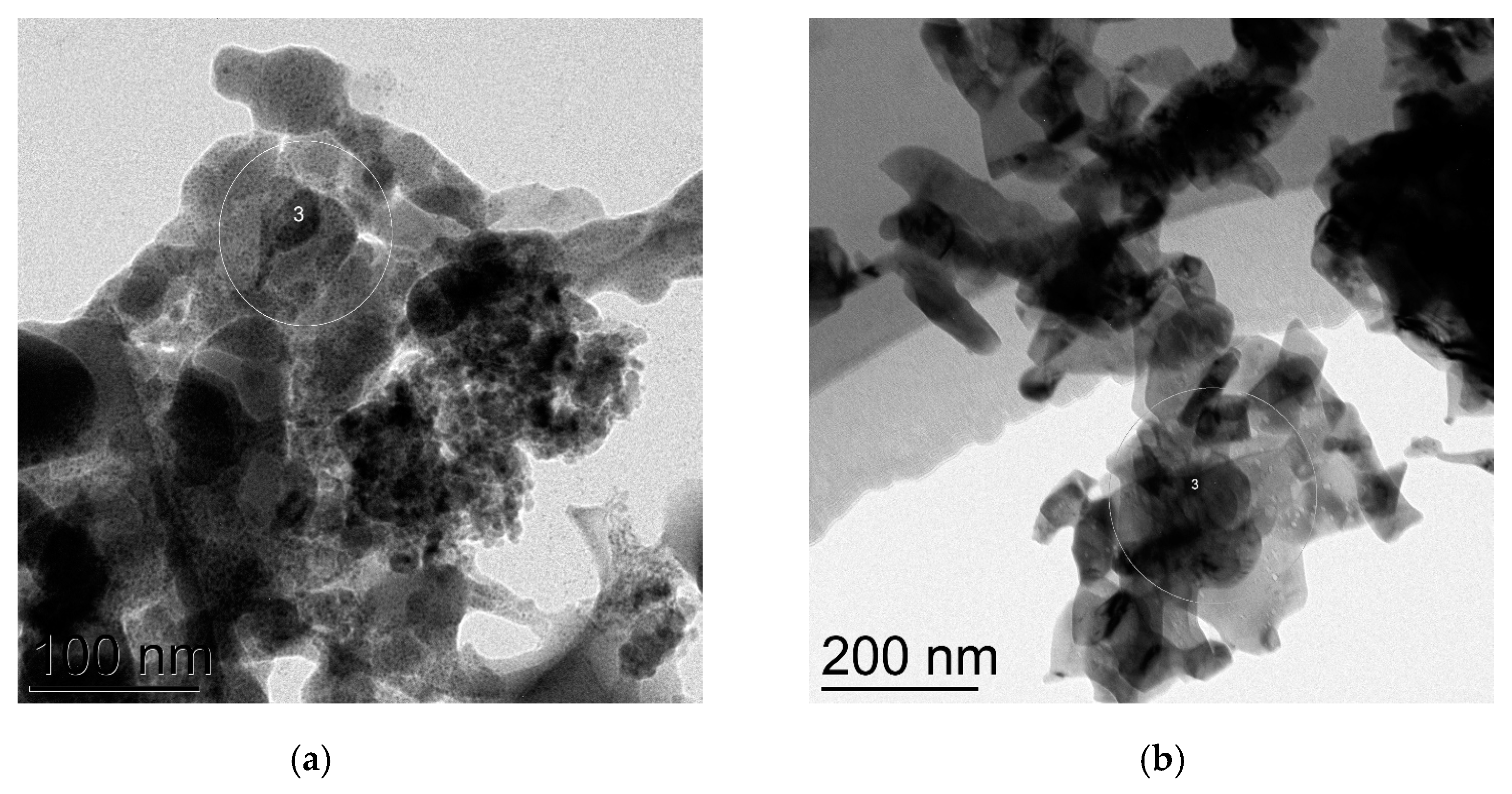 Catalysts 13 00331 g007
