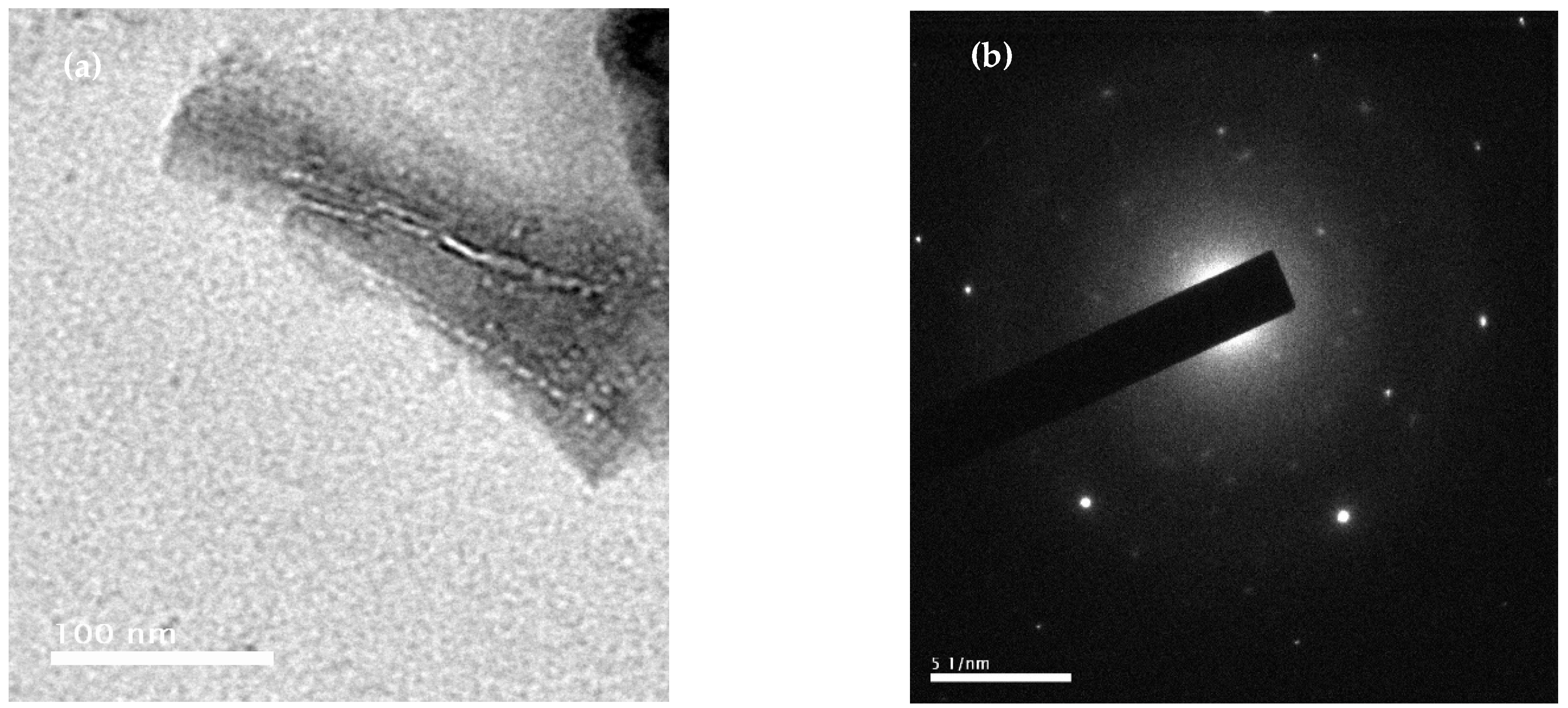 Catalysts 13 00332 g001