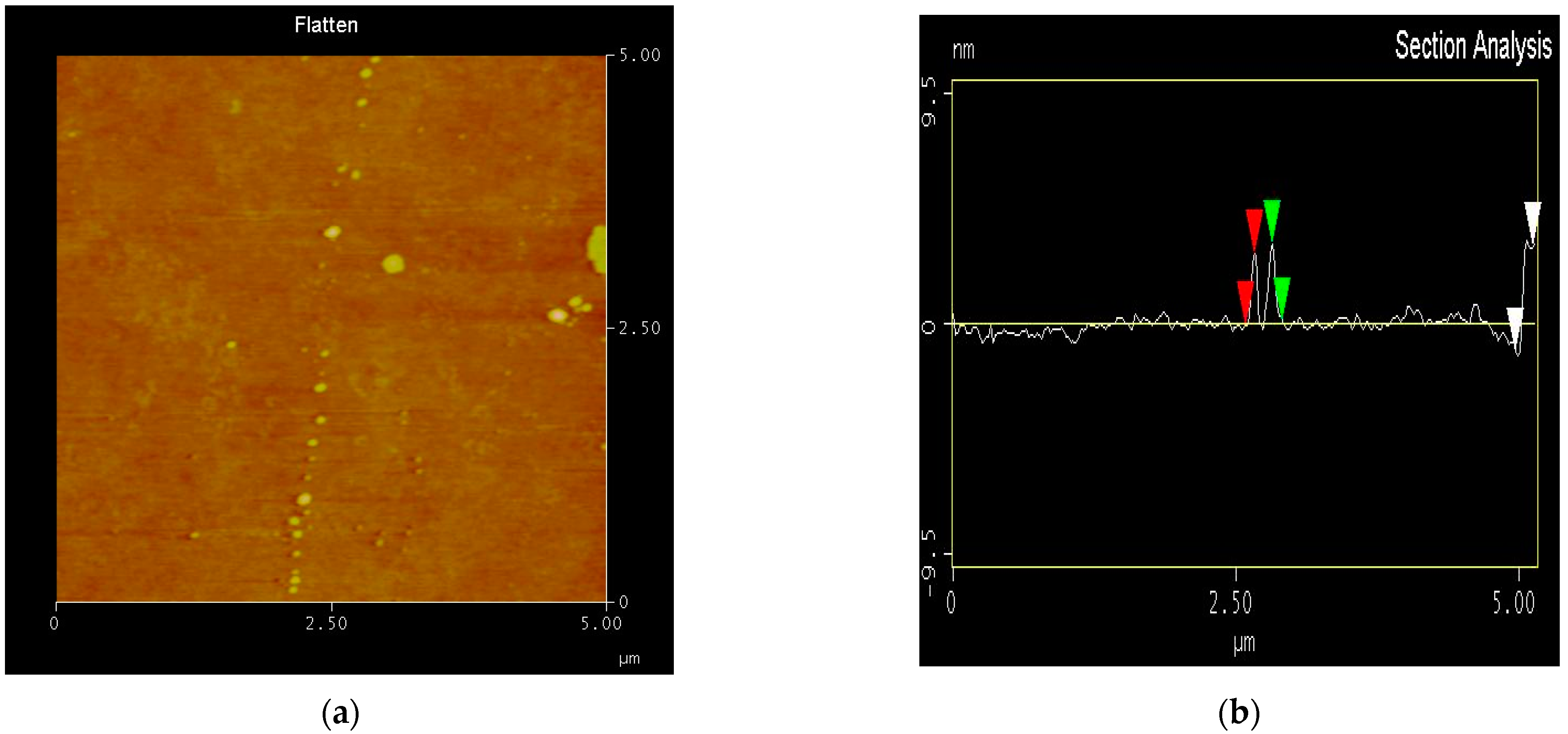 Catalysts 13 00332 g002