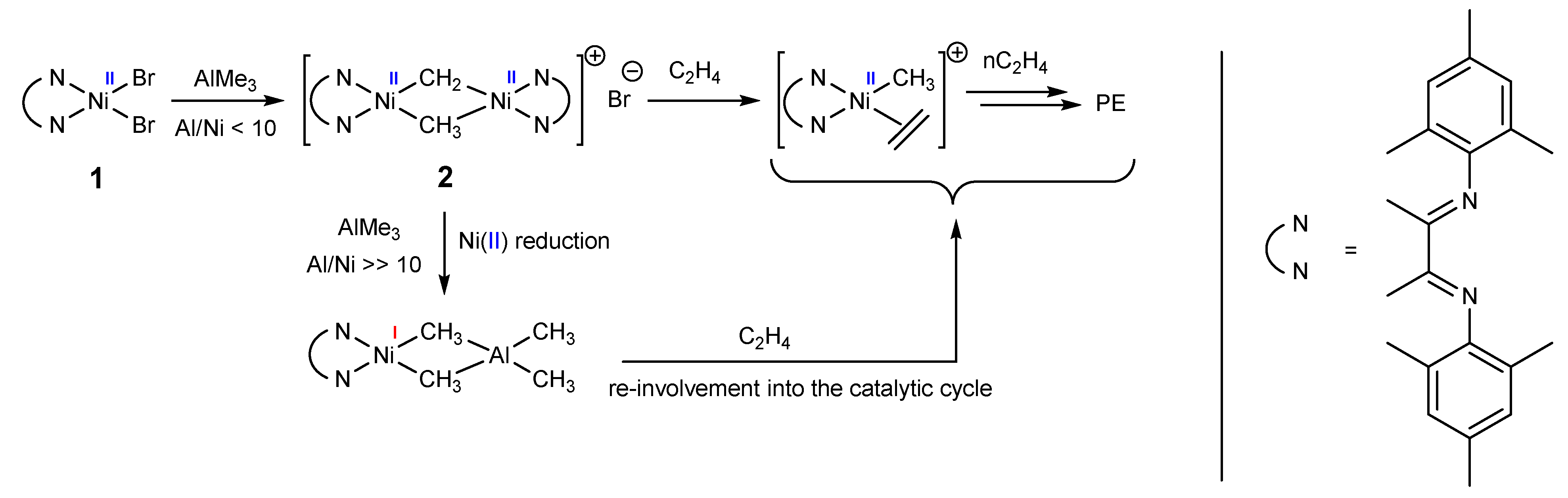 Catalysts 13 00333 sch001