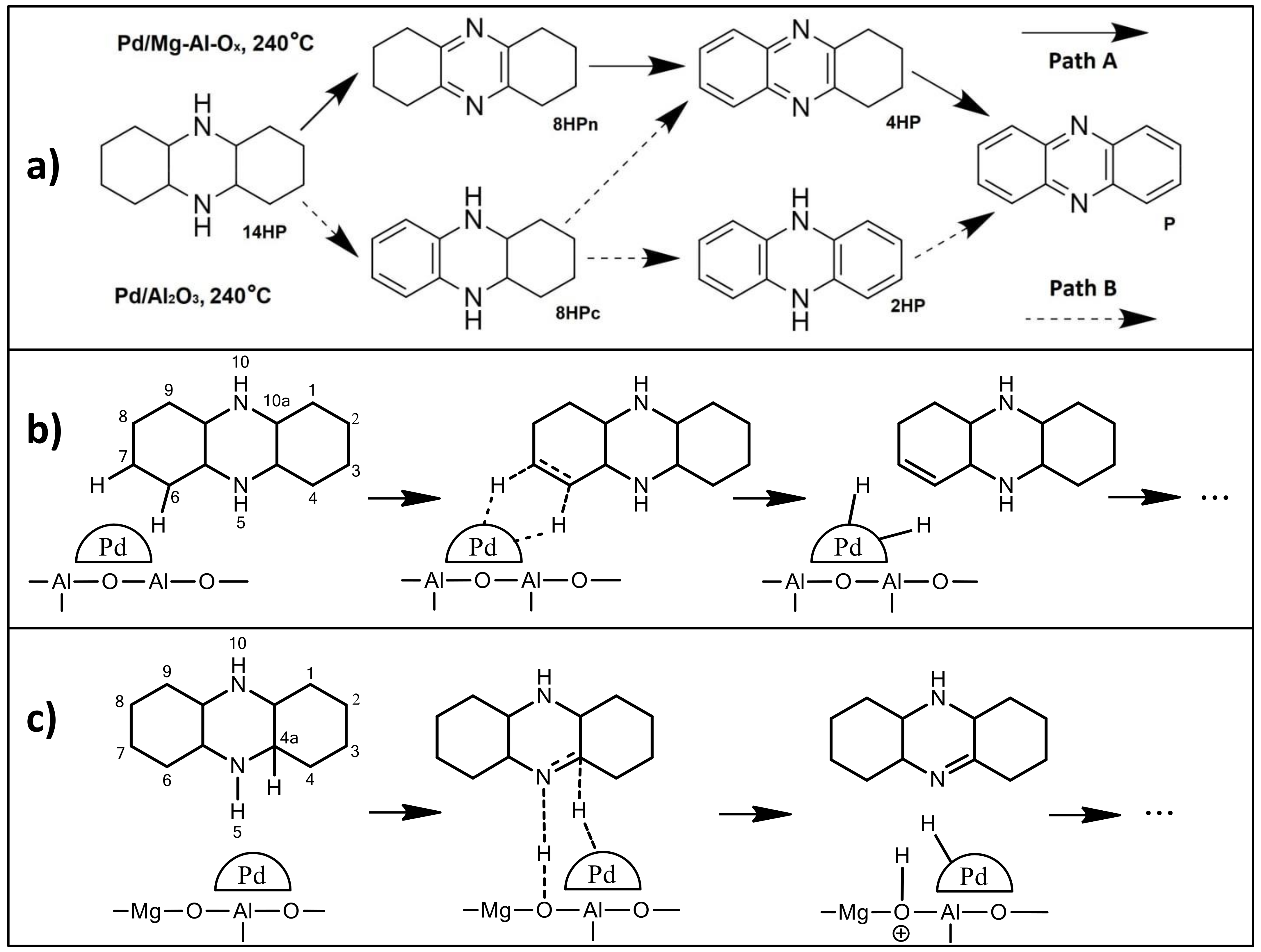 Catalysts 13 00334 g007