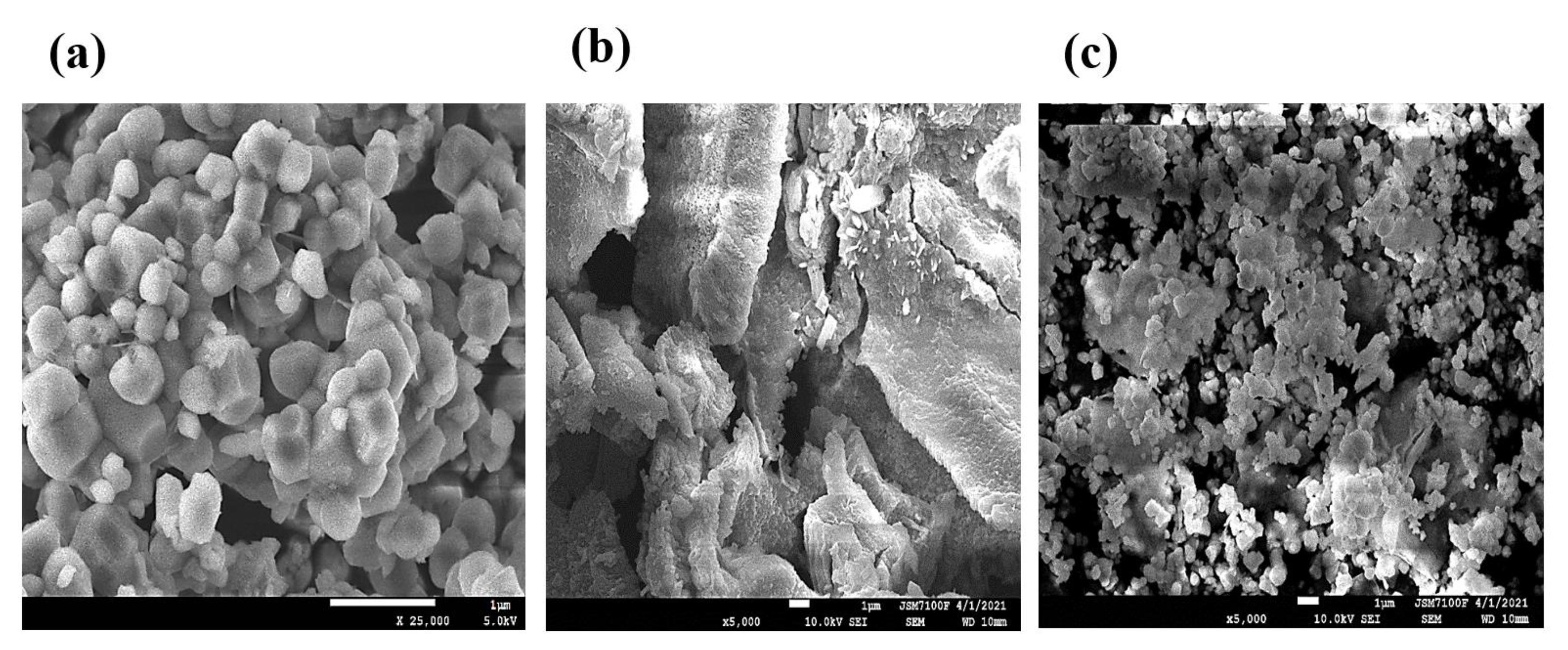 Catalysts 13 00336 g003