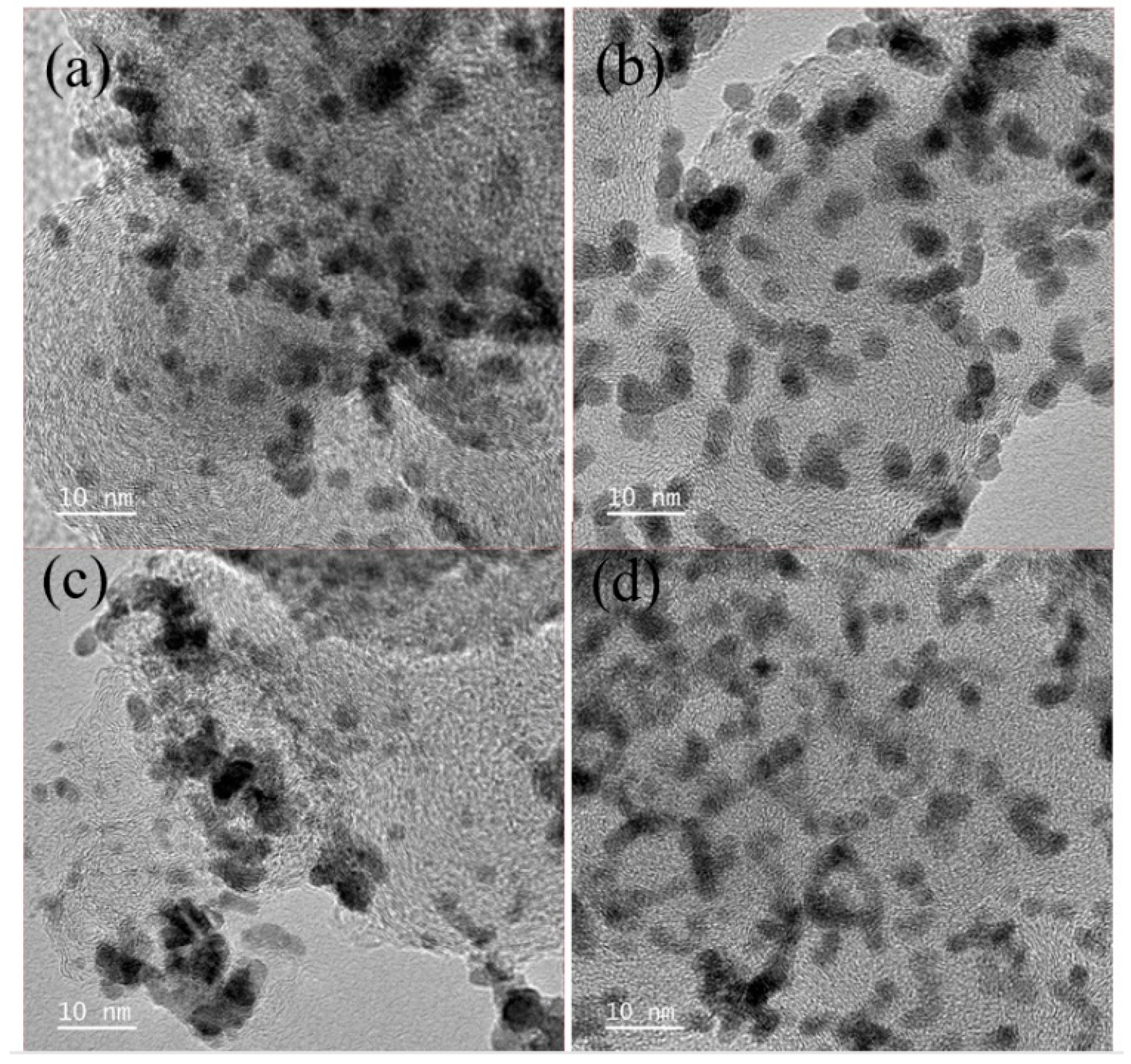 Catalysts 13 00337 g001