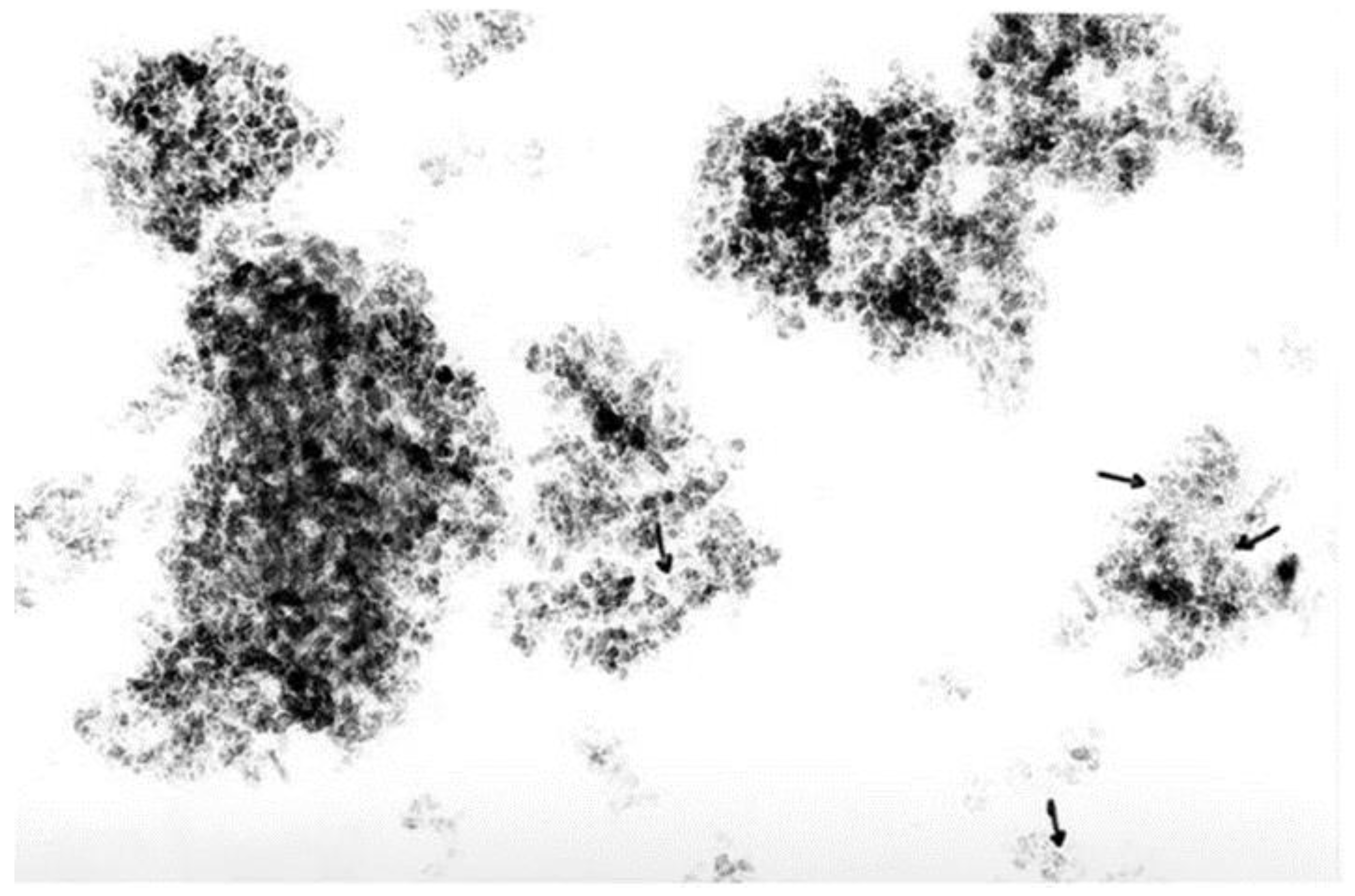 Catalysts 13 00338 g0a1 Catalysts 13 00338 g0a1