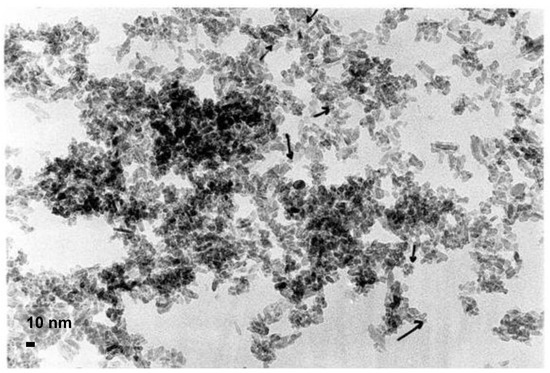Catalysts 13 00338 g0a2