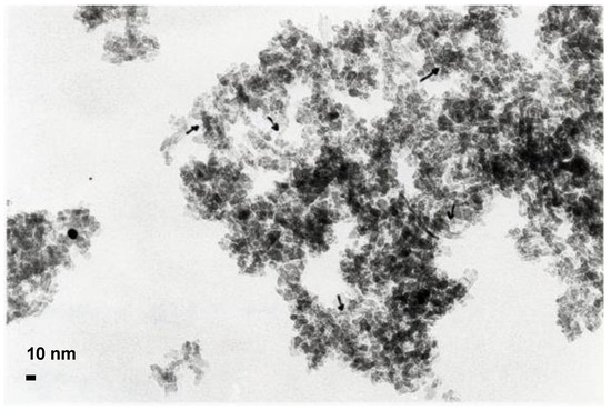 Catalysts 13 00338 g0a3
