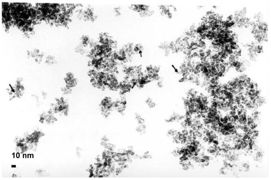 Catalysts 13 00338 g0a4