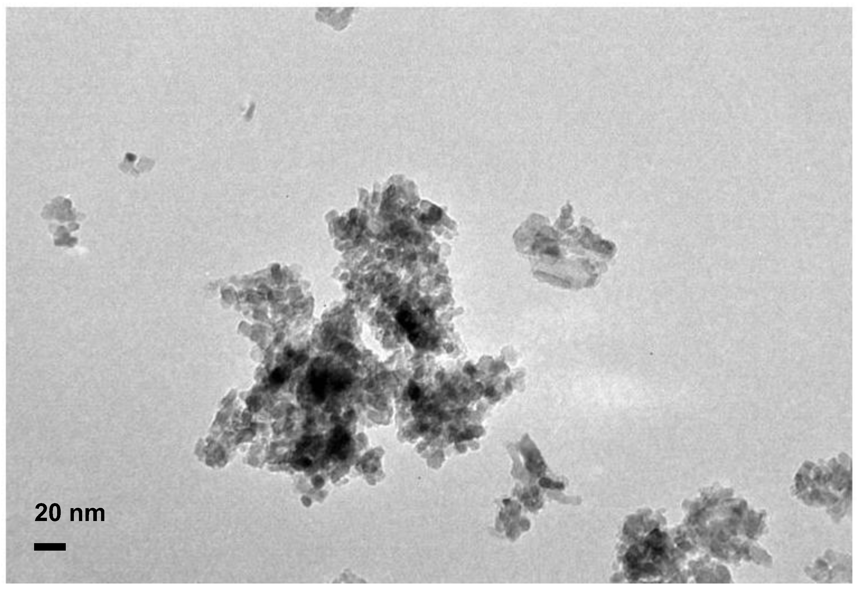 Catalysts 13 00338 g0a9 Catalysts 13 00338 g0a9