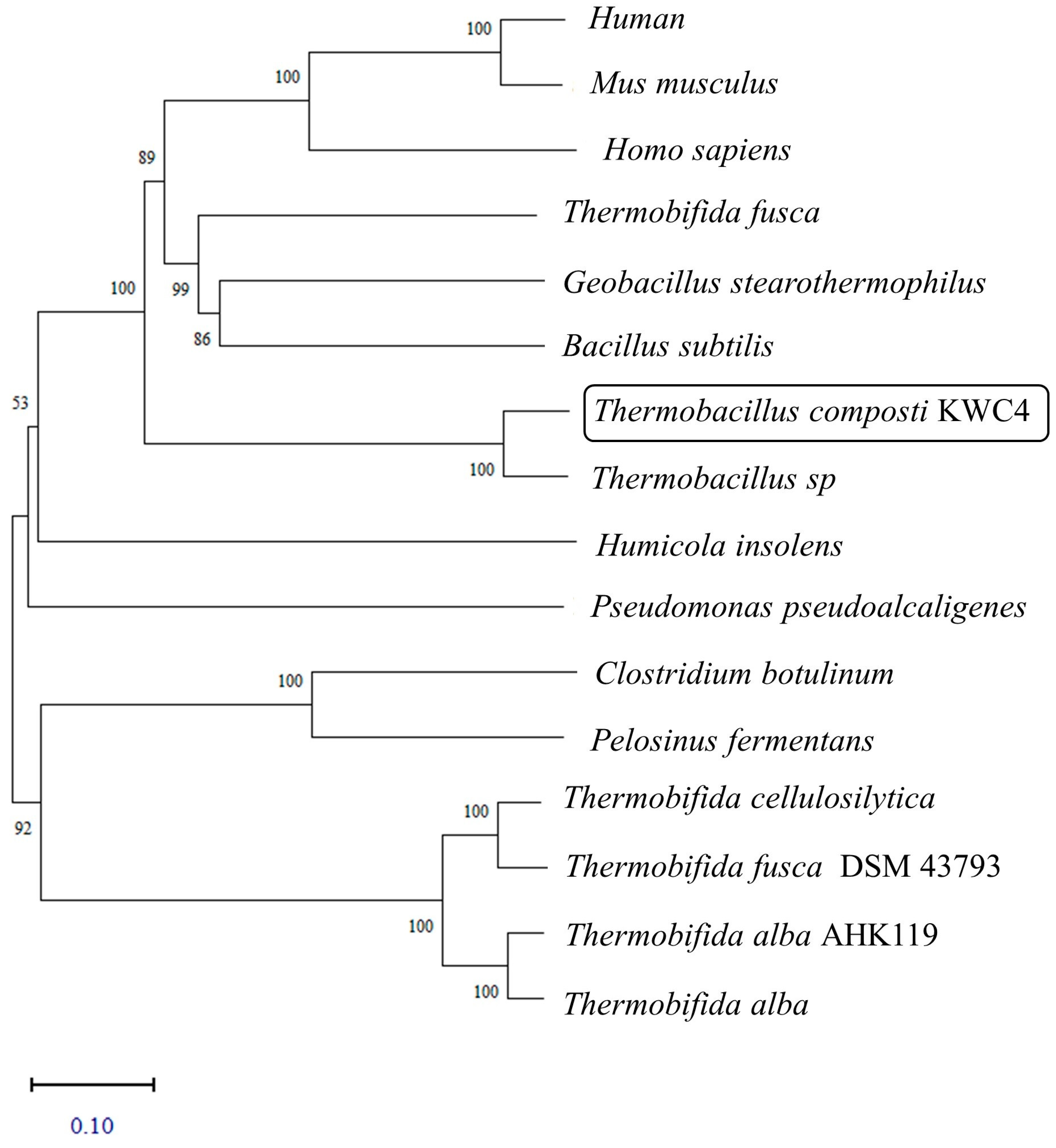 Catalysts 13 00340 g001