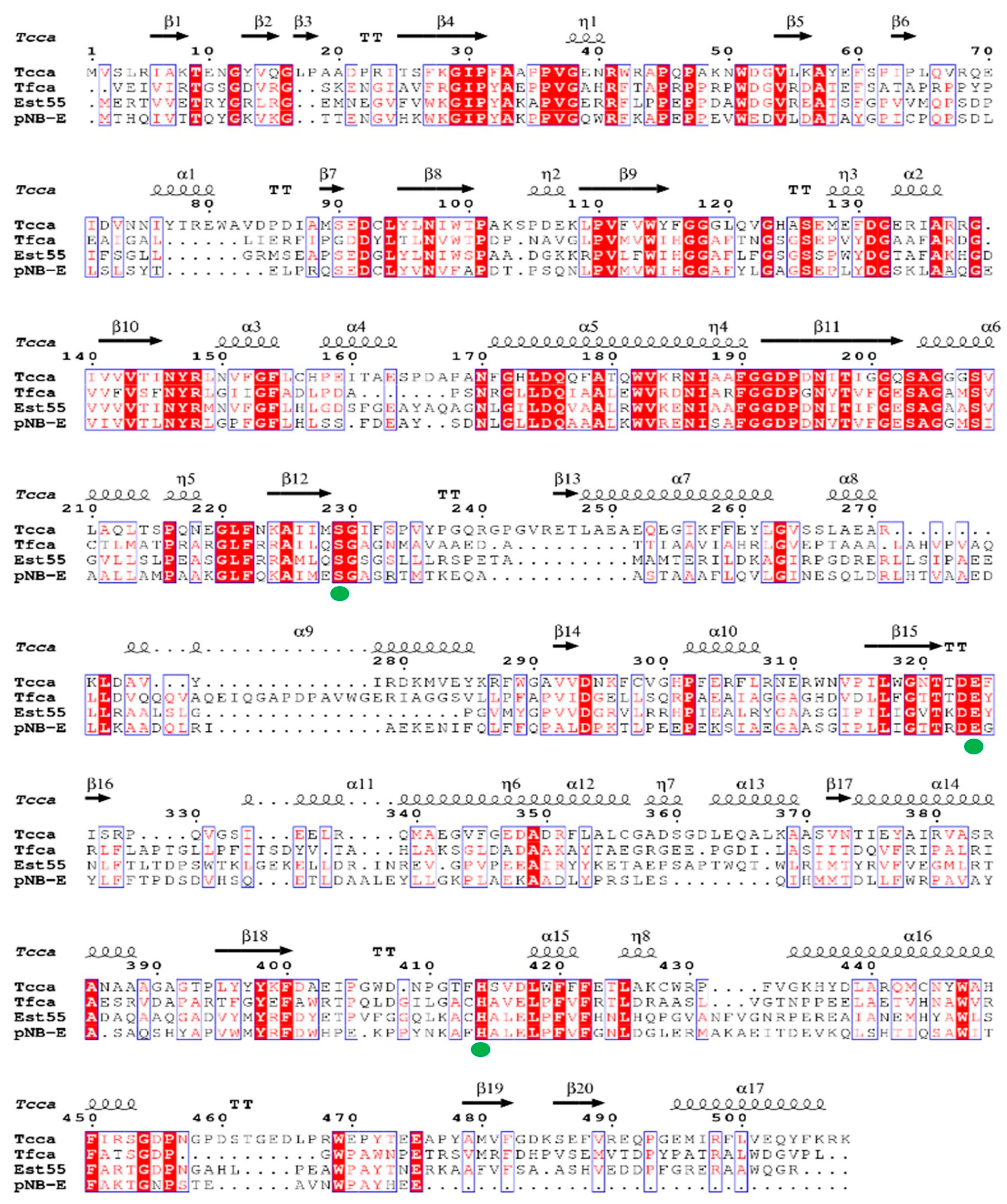 Catalysts 13 00340 g002