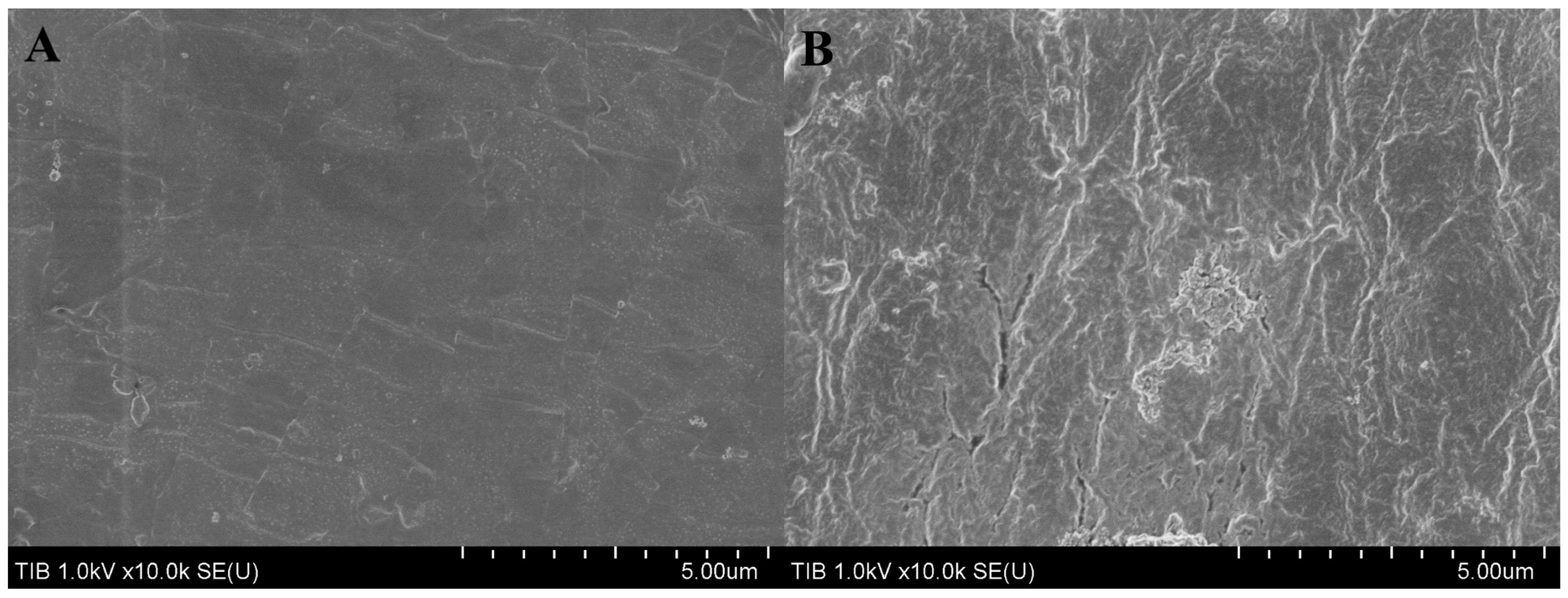 Catalysts 13 00340 g004